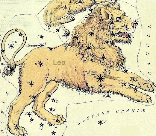 Regulus, Leo’s brightest star, shines right about where the lion’s heart would be located.