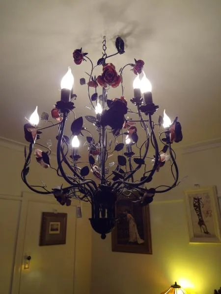 LAMP-CL008