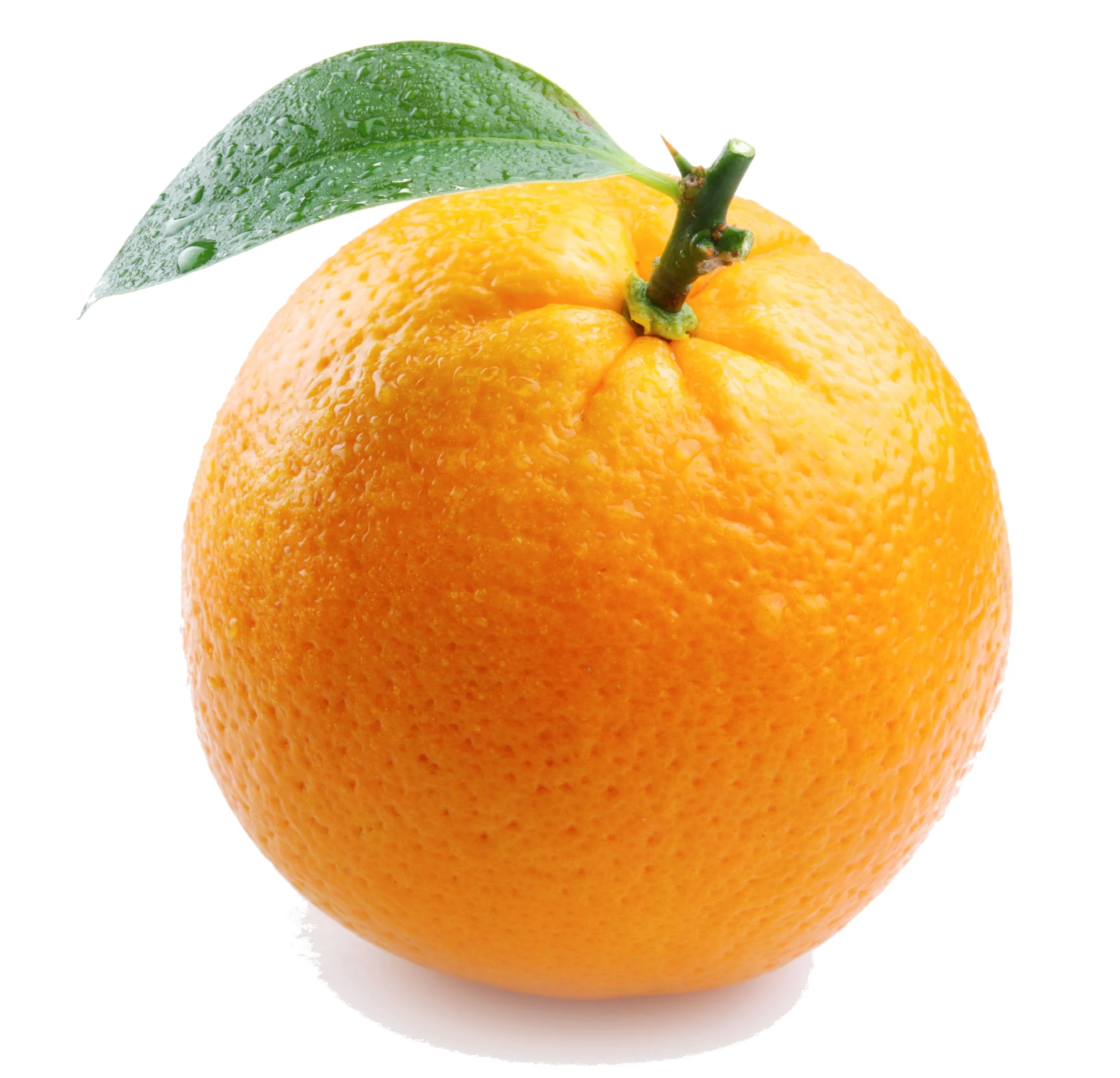 Look at it. So smug behind its tariff walls. Your time will come, my difficult to peel friend. Oh yes, your time will come.