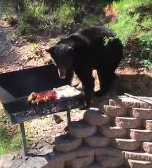 The true price of steak is eternal vigilance.