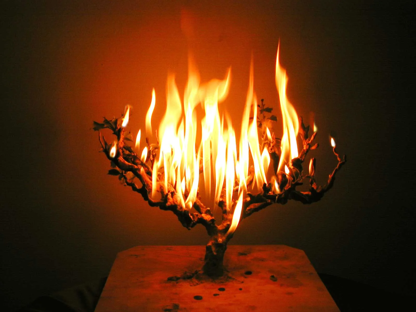 It’s well established getting red lines from a burning bush actually makes more sense than getting them from the hard right faction of your government’s party.