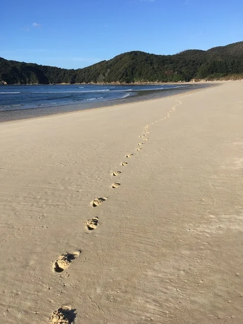Opnå handlekraft og fornyet energi ved at acceptere det skete 