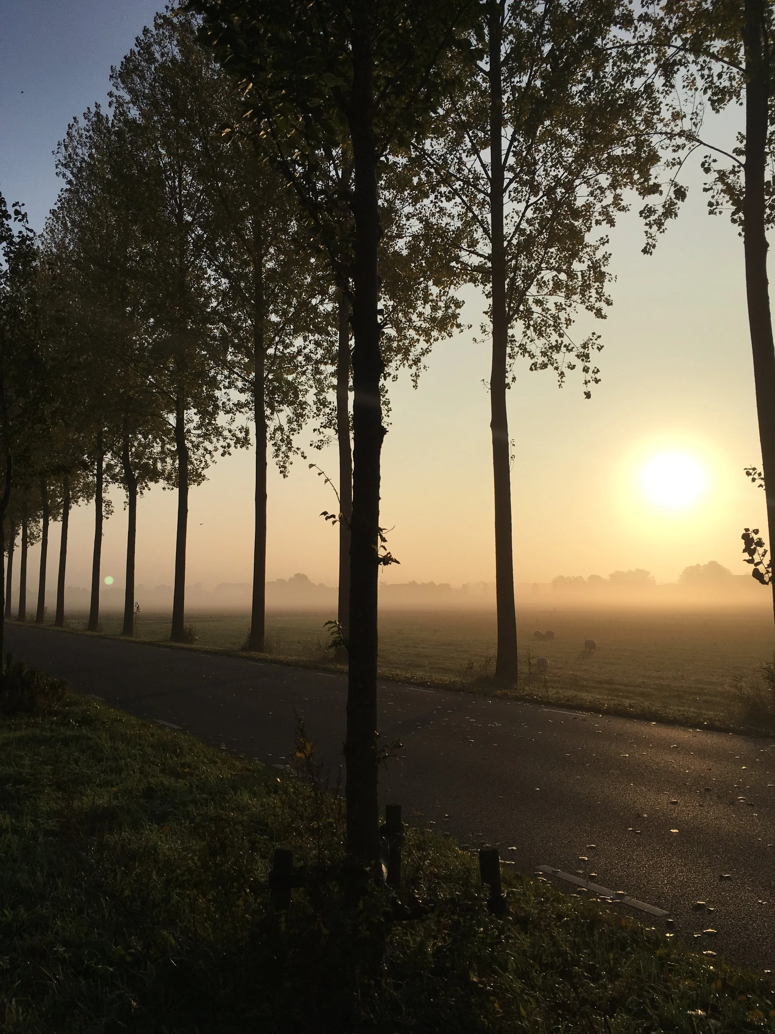 Vinterceremoni 1. måned.
