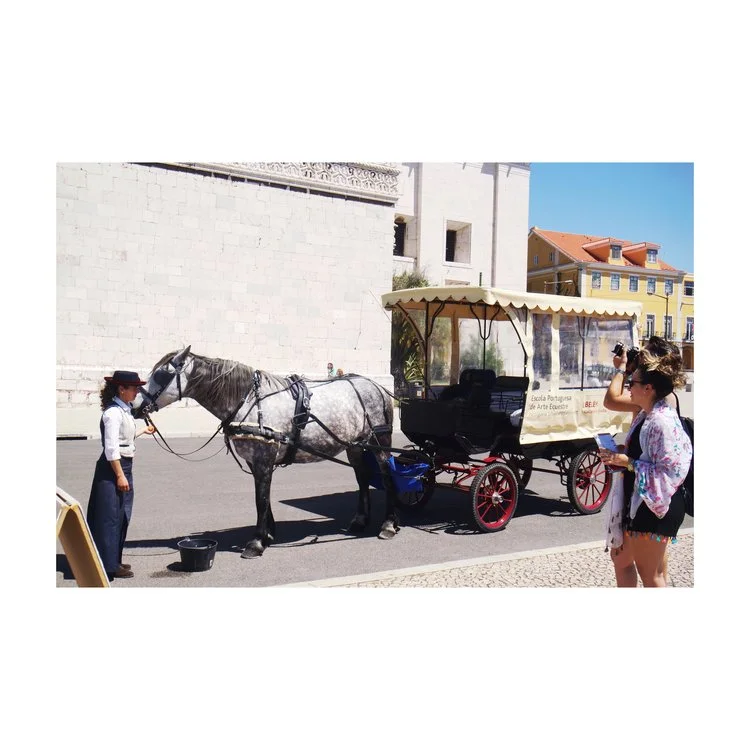 lisbon7.jpg