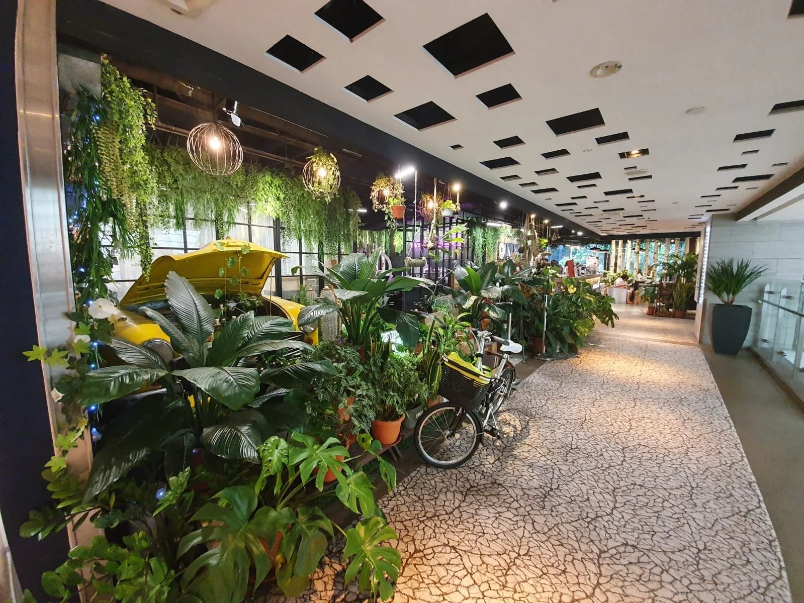 Singapore Series: Lee Kaja (Hair Salon)