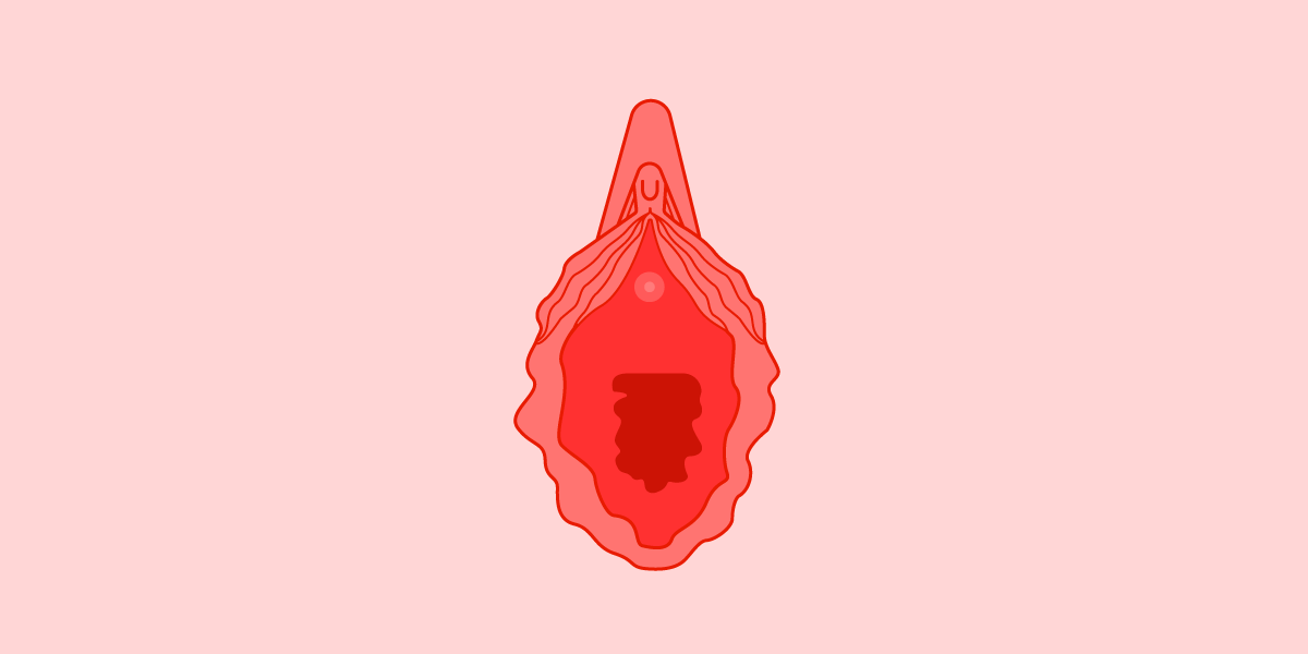 240818vaginal_corona-web.png