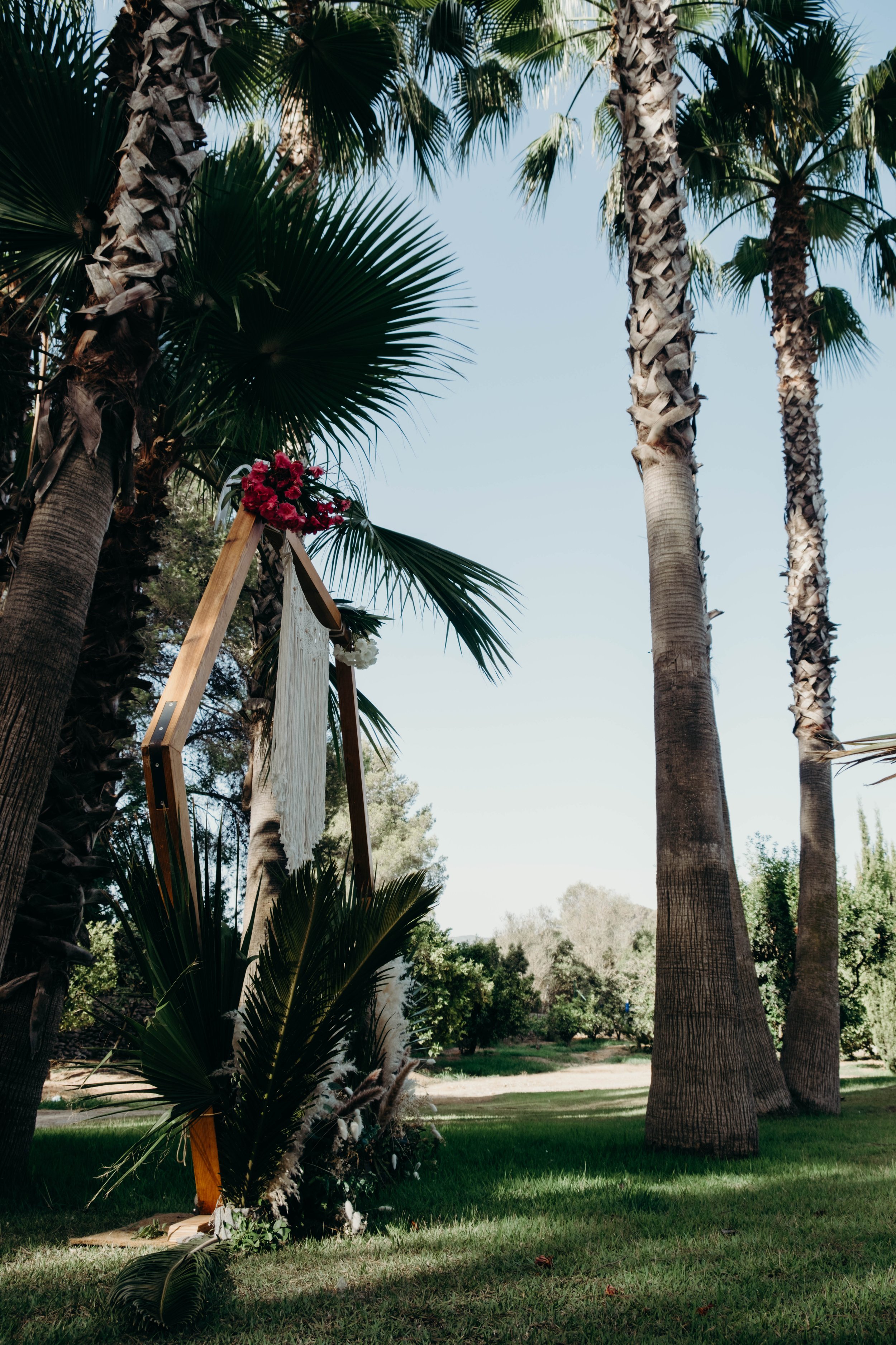 Wooden wedding arch decorated with flowers among tall palm trees in a sunny outdoor setting in Ibiza, spain. Shot by Jason Evans photography Bridgend