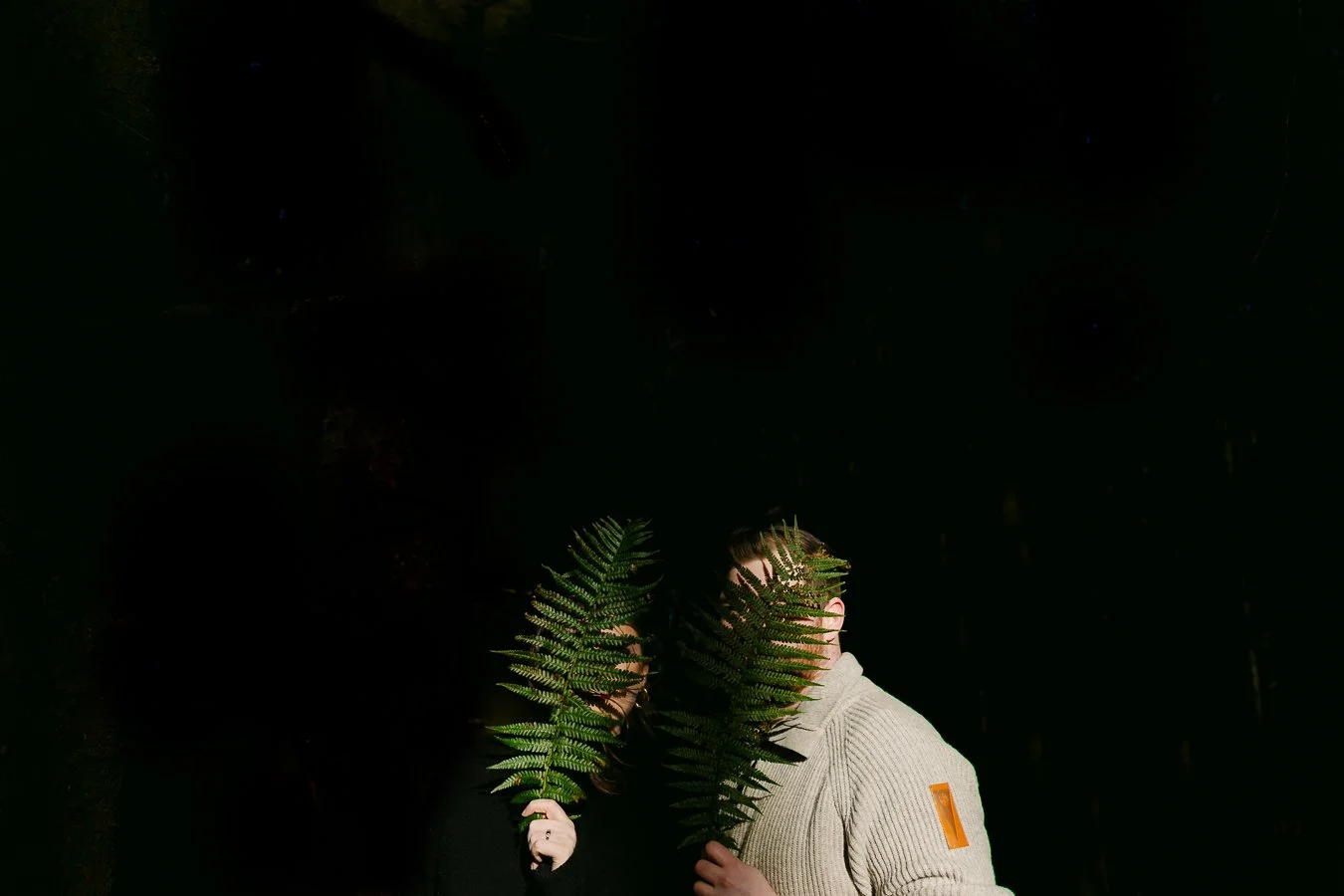 Z63_1706-Edit.jpg