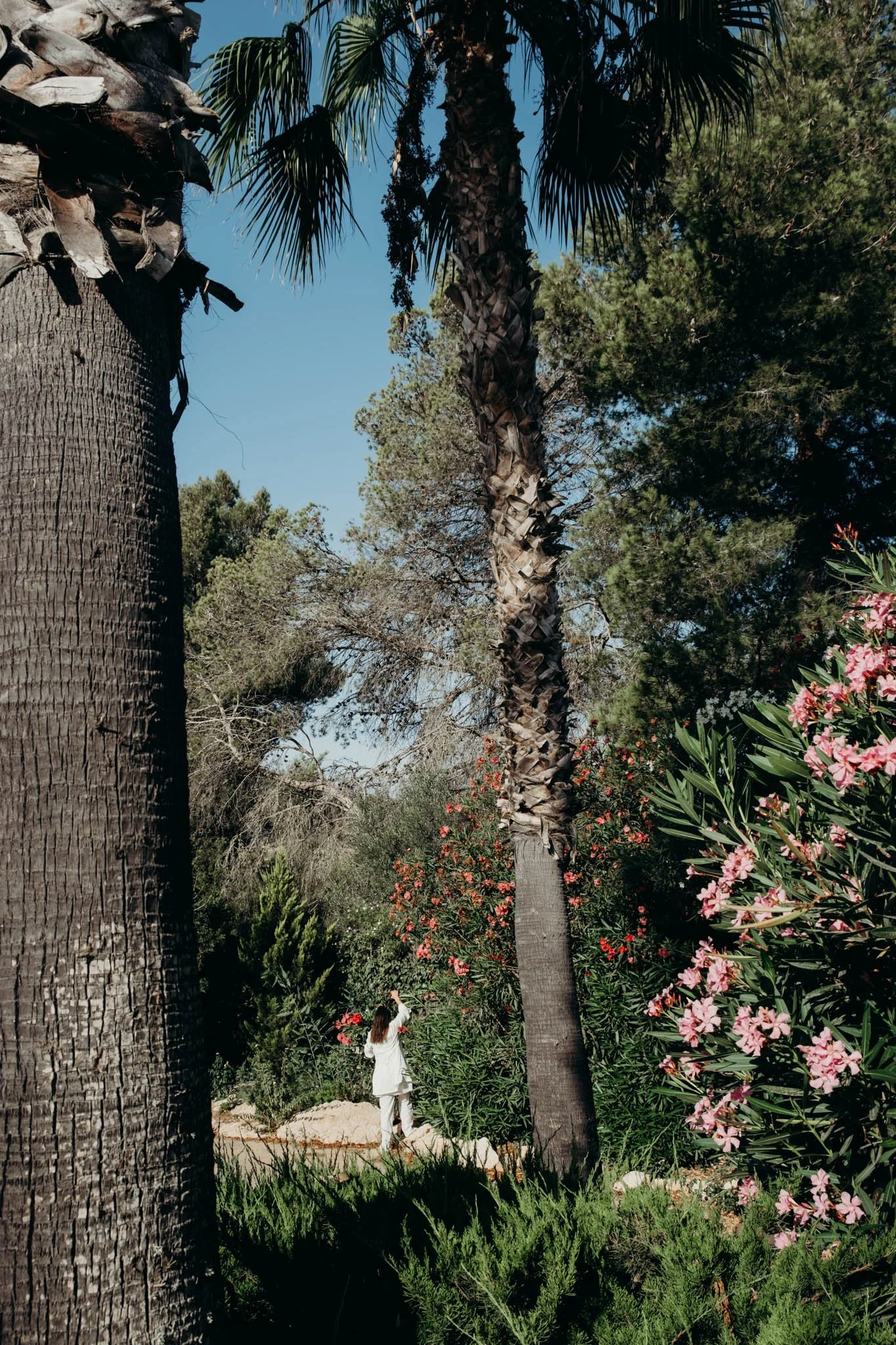 A woman in white standing among tall trees and colorful flowers in a lush garden on a clear, sunny day.