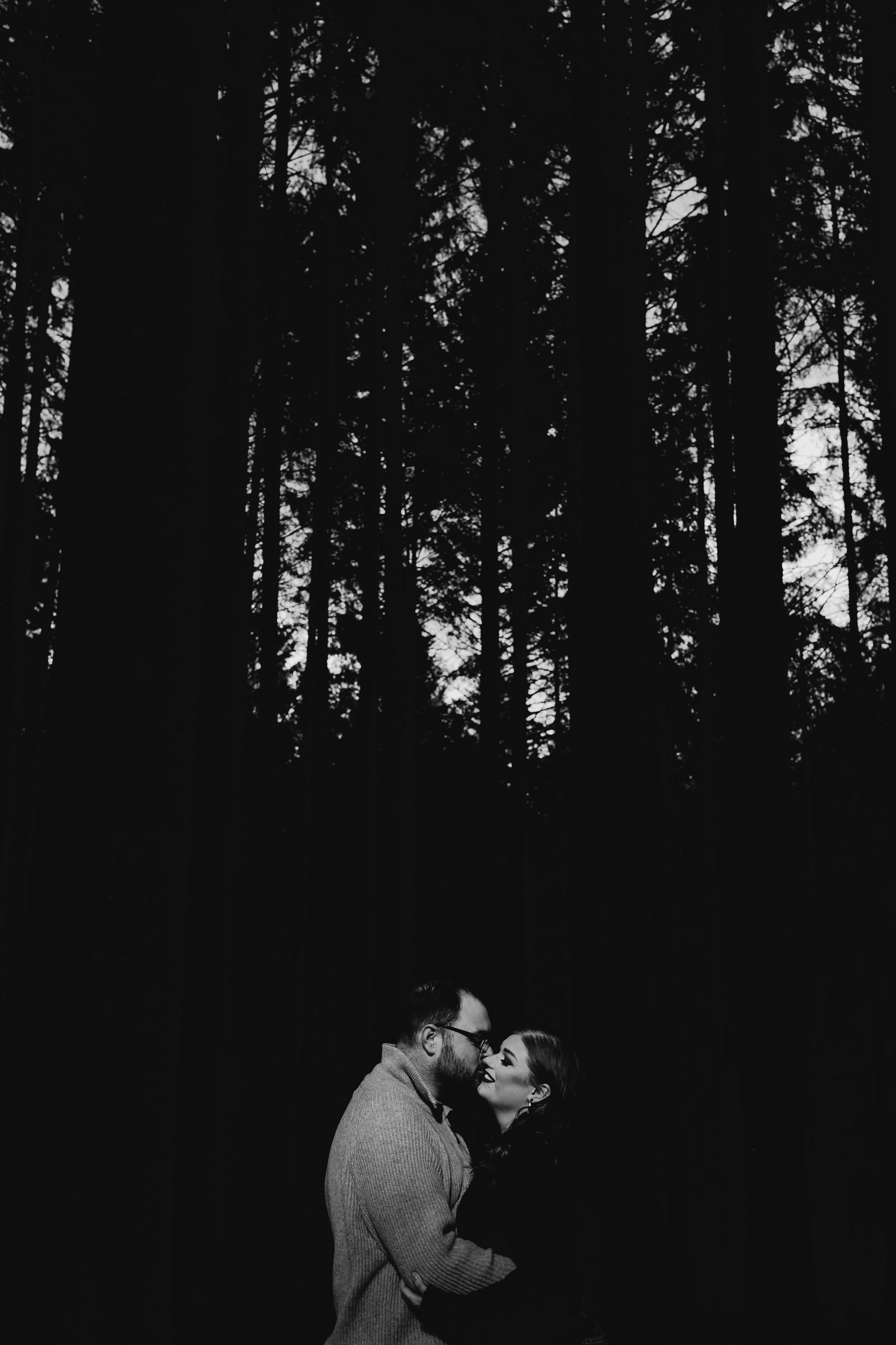 Charlotte + Iolo | Cefn Woods Bridgend