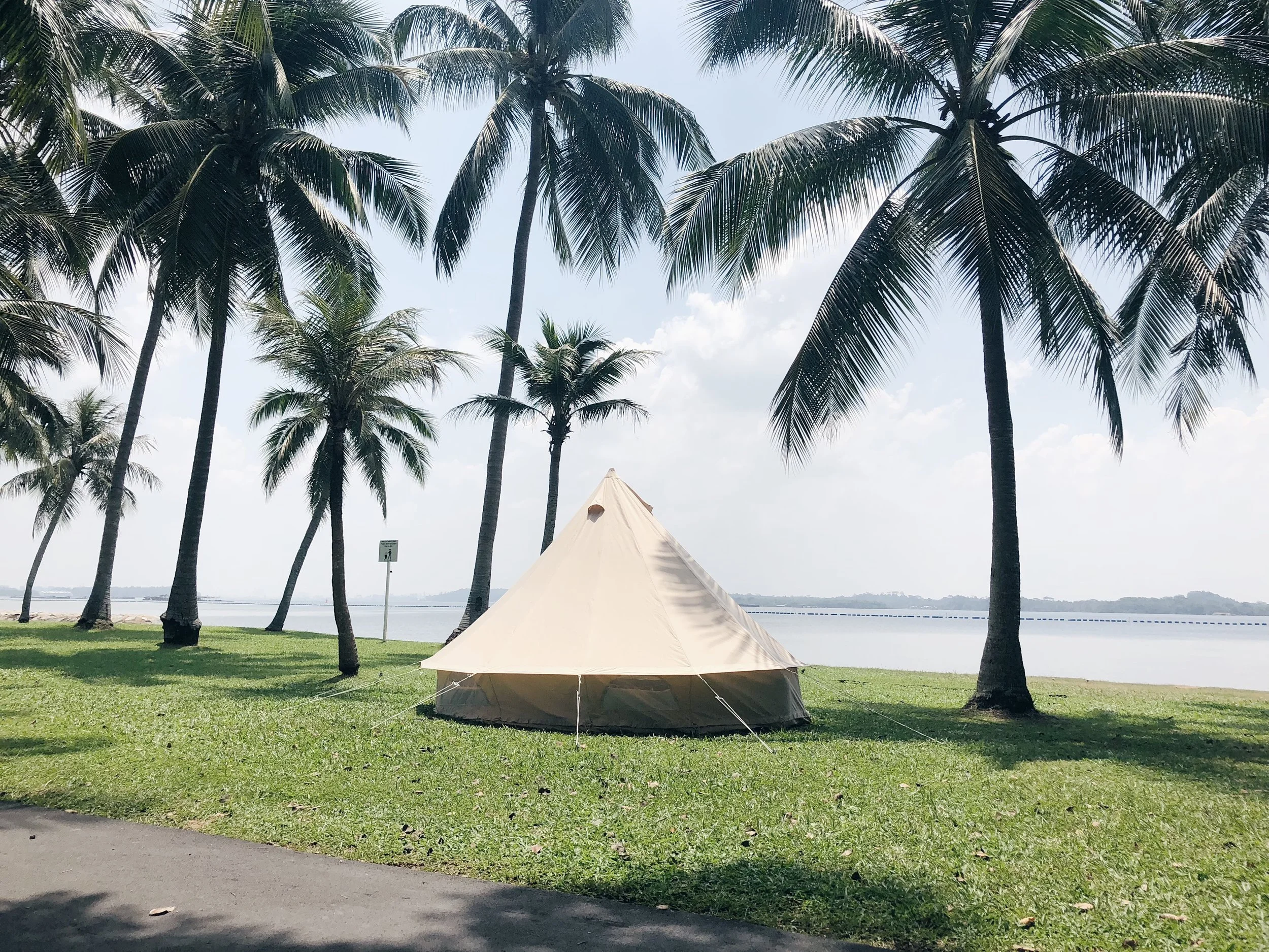 2018-08-11 13.37.01.jpg