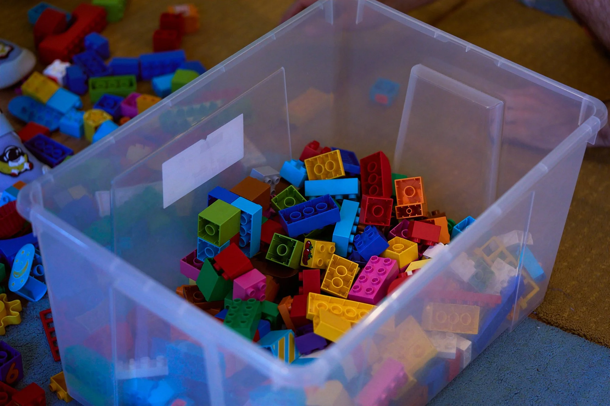 Jolly_Kids_Photos_56.jpg