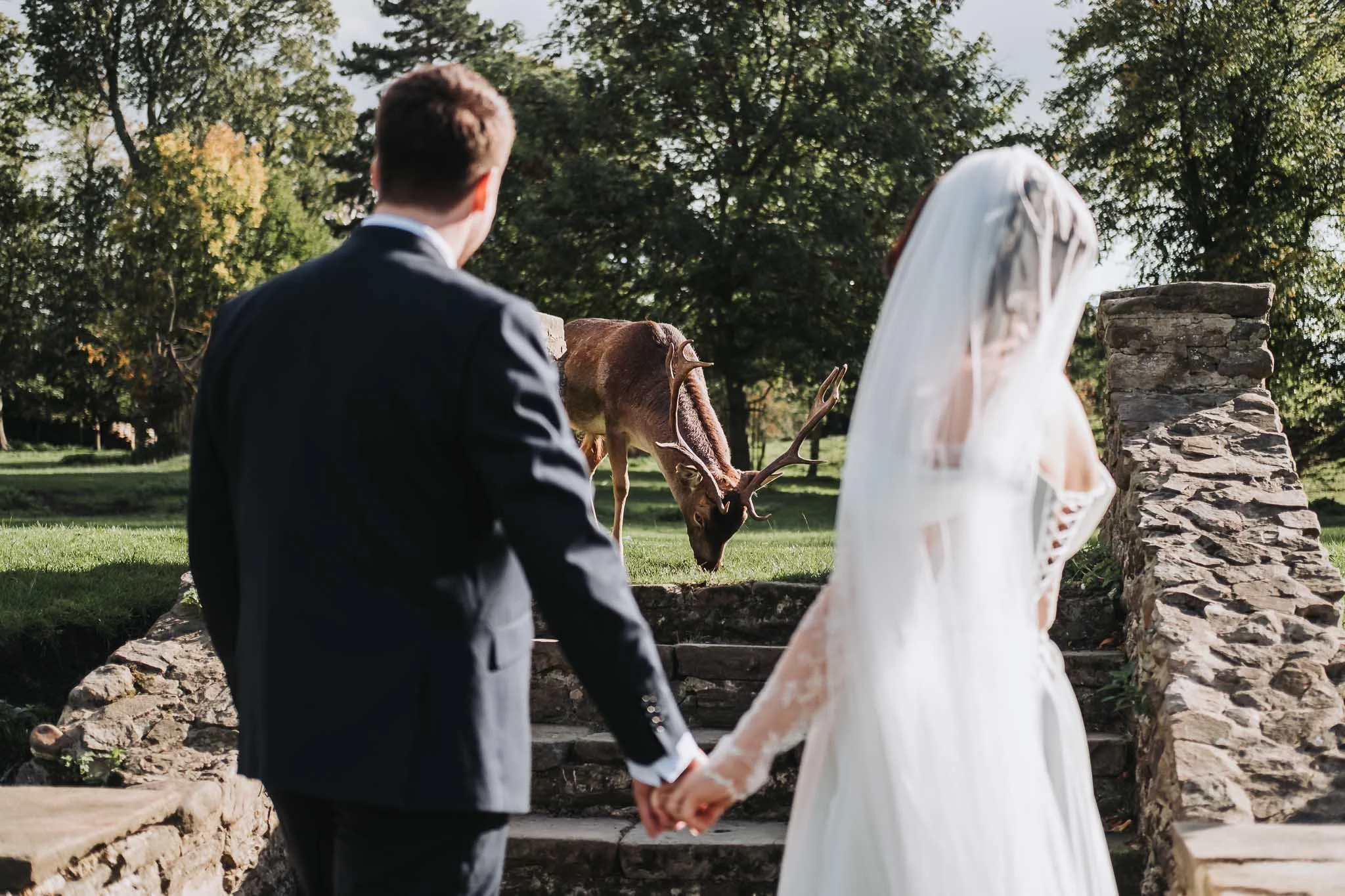 Emma-and-Jack-Wedding-Whitworth-Estate-and-Deer-Park-Spennymoor-Colin-Jones-Photography-For-Screen-93.jpg