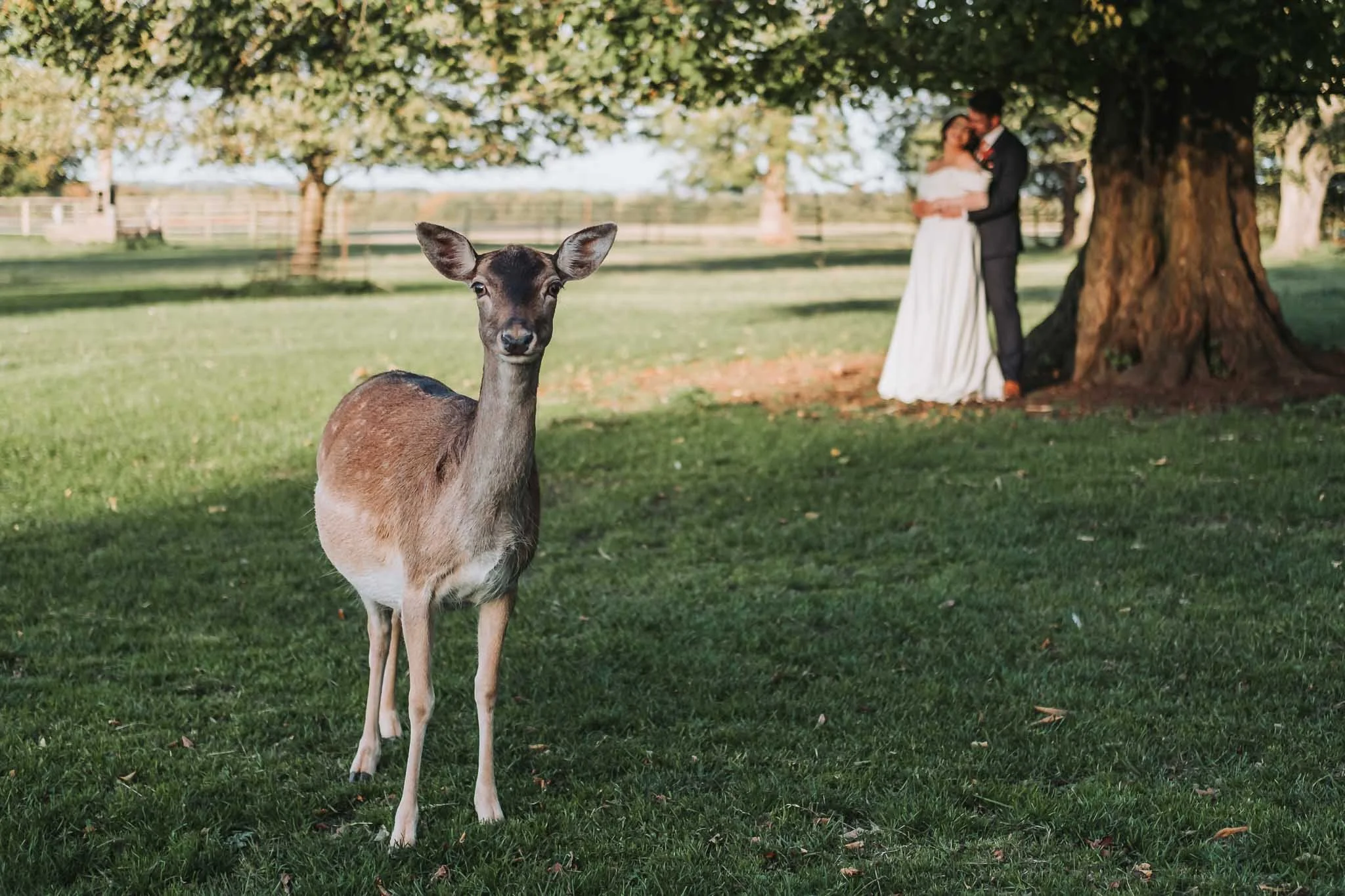 Emma-and-Jack-Wedding-Whitworth-Estate-and-Deer-Park-Spennymoor-Colin-Jones-Photography-For-Screen-146.jpg
