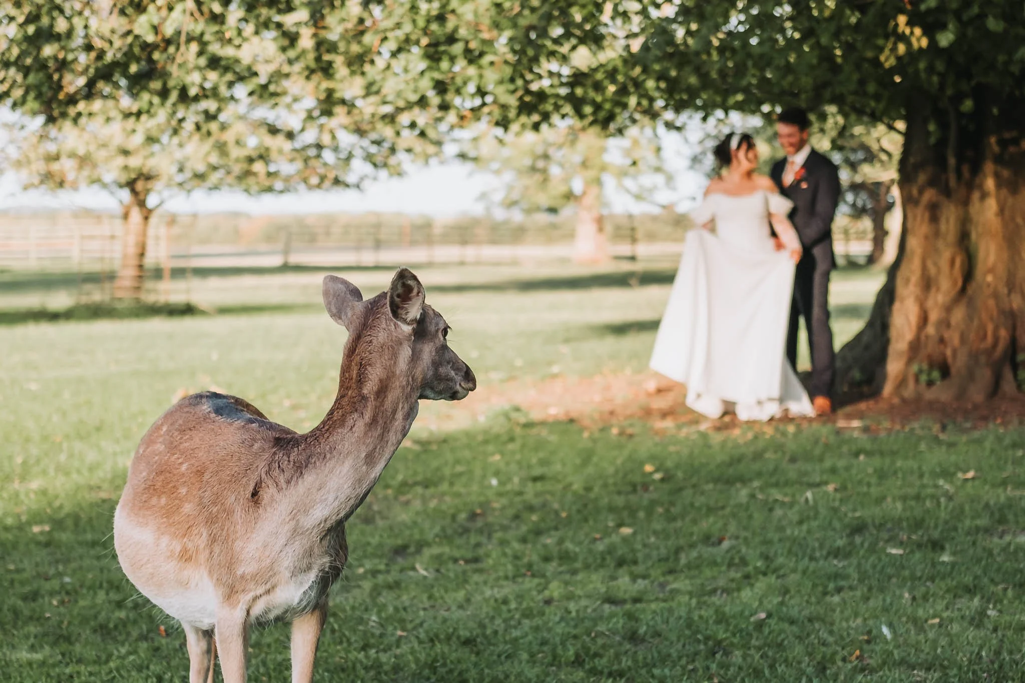 Emma-and-Jack-Wedding-Whitworth-Estate-and-Deer-Park-Spennymoor-Colin-Jones-Photography-For-Screen-147.jpg