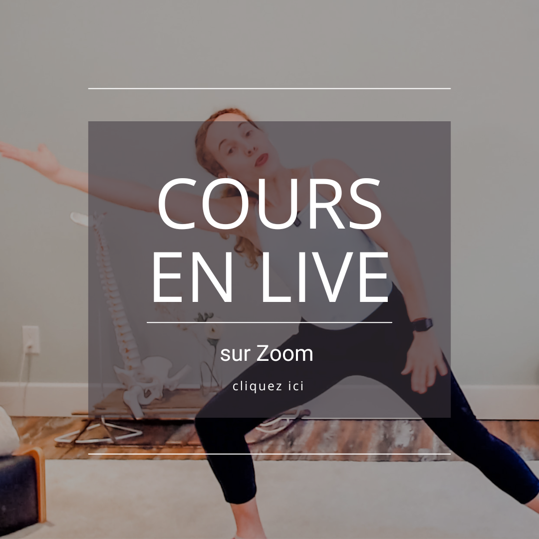 COURS EN LIVE SUR ZOOM