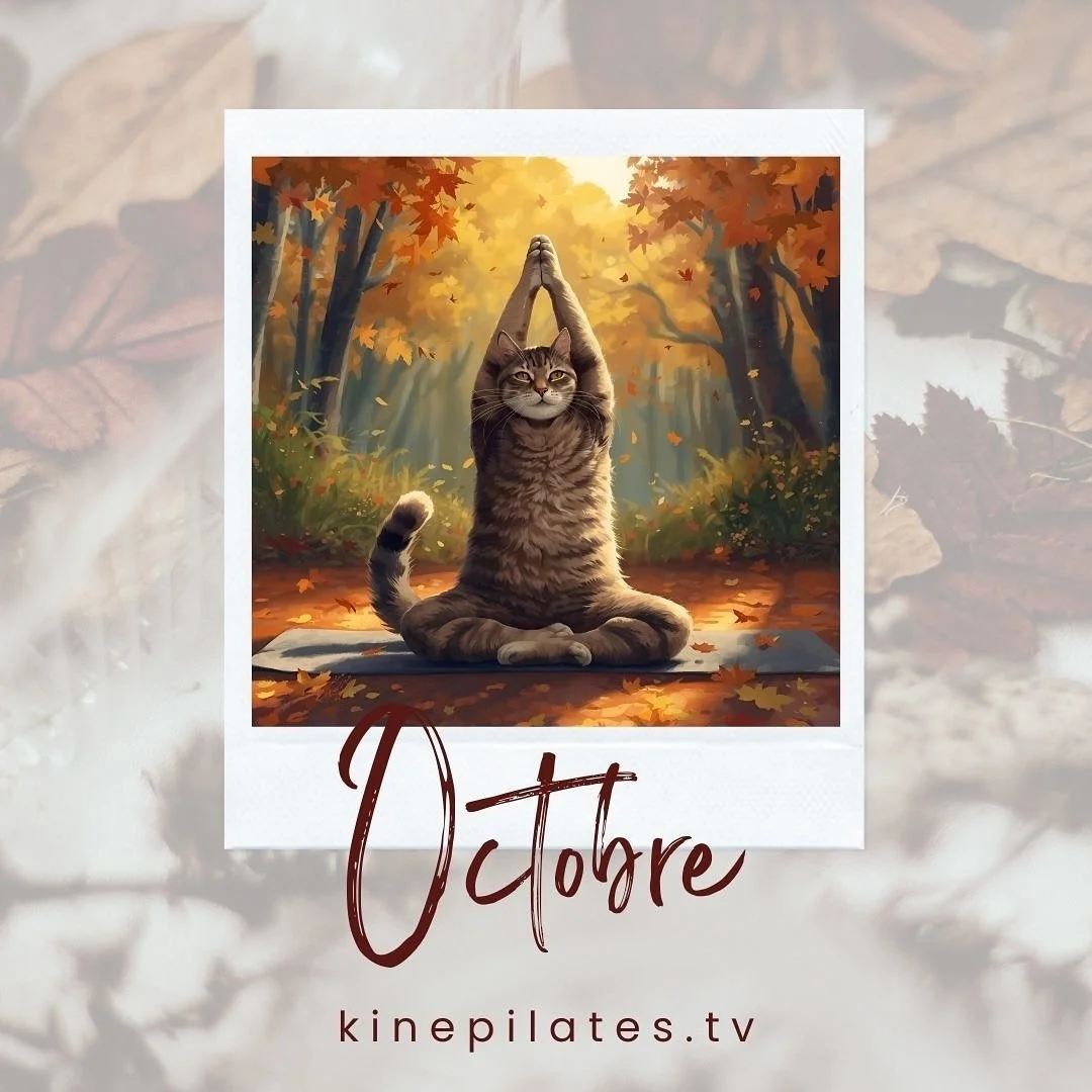 🍂 Octobre, le mois o&ugrave; l&rsquo;on rentre un peu plus chez soi&hellip; et en soi.
Les feuilles tombent, les journ&eacute;es raccourcissent, le rythme ralentit doucement.
Mais toi, est-ce que tu ralentis aussi ?

Dans ce mois souvent charg&eacut