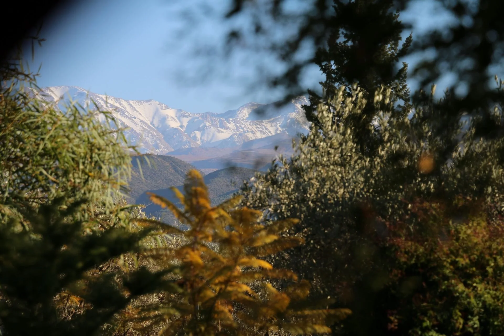 Atlas-from-Bab-Zouina.jpg