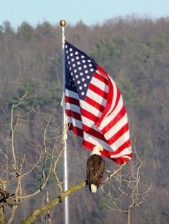 Flag & Eagle.jpeg