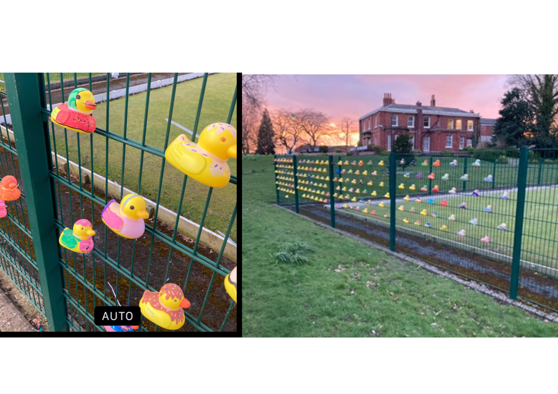 EASTER DUCK TRAIL