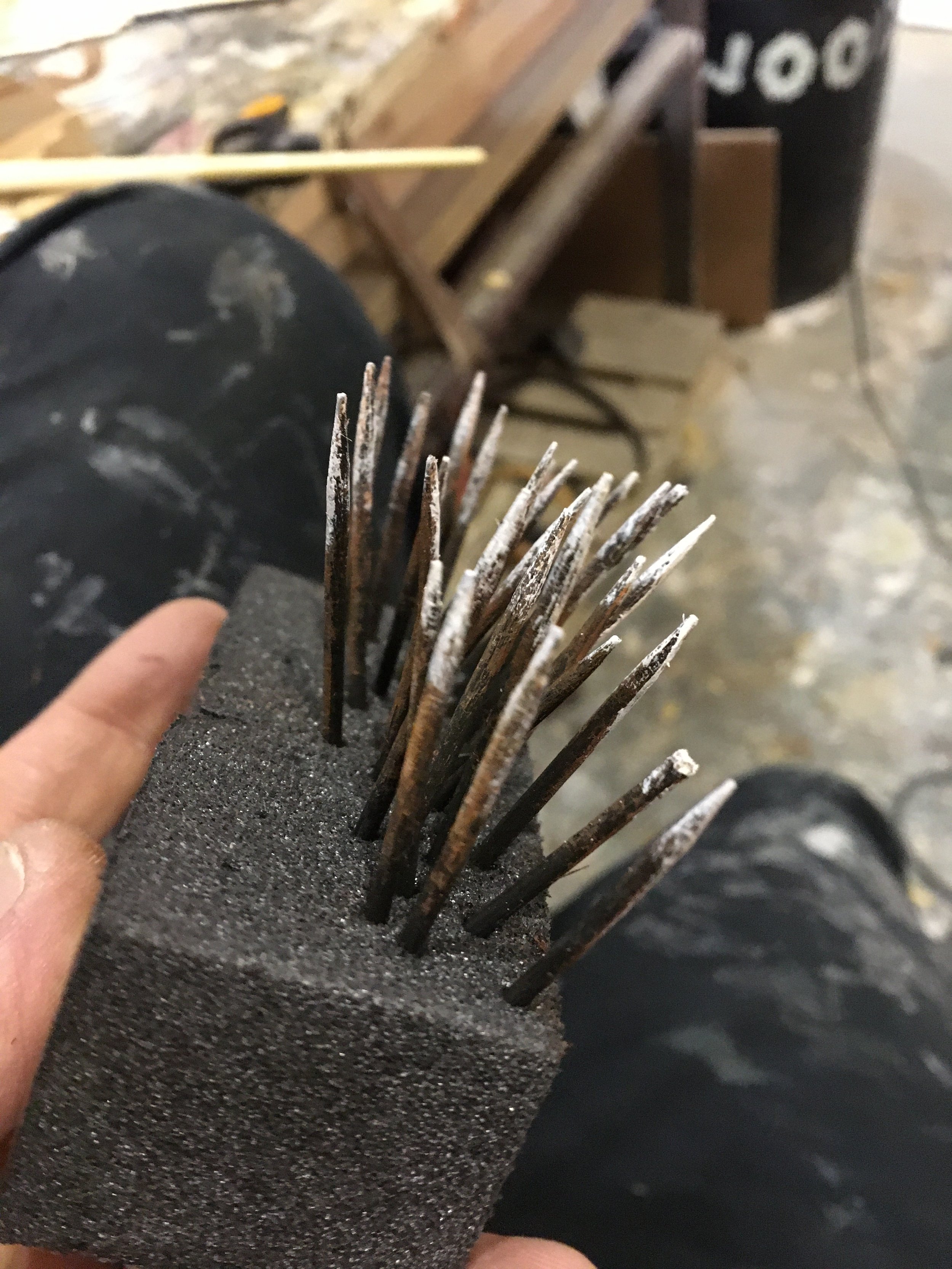 Dry brushing Hedghog spines