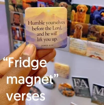 images.jpeg