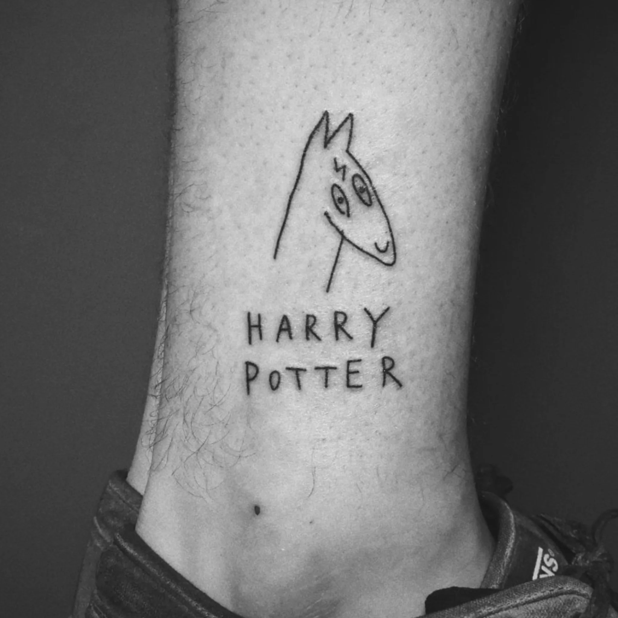 Bowser x Harry Potter: FLASH DAY!