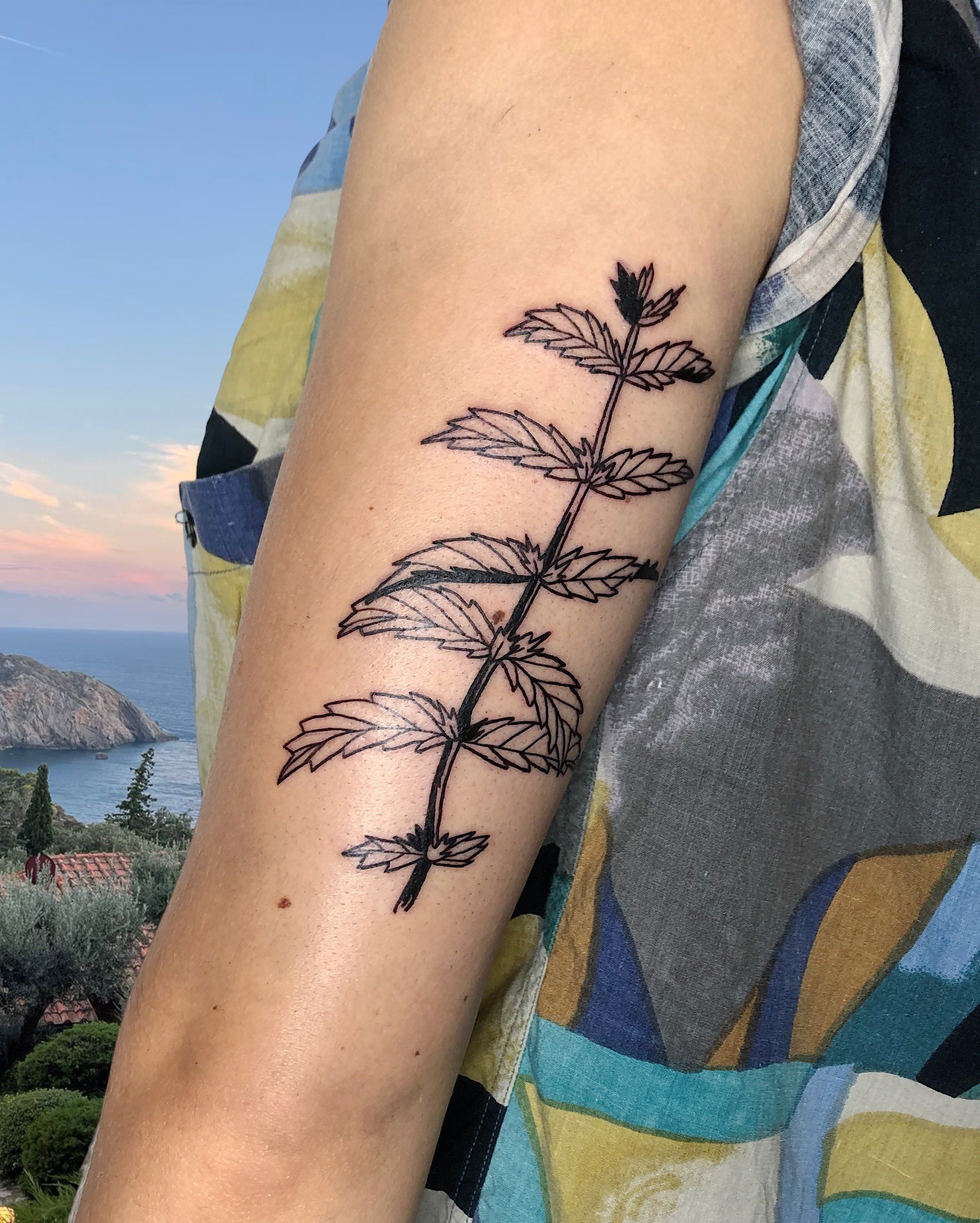 Botanical linework simple tattoo on back of upper arm.JPG