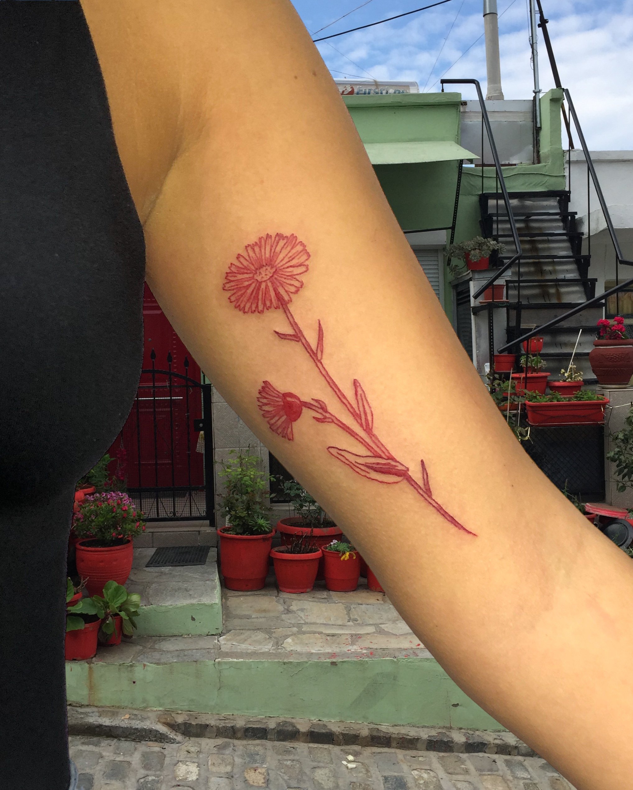red flowers tattooed inside the biceps.JPG