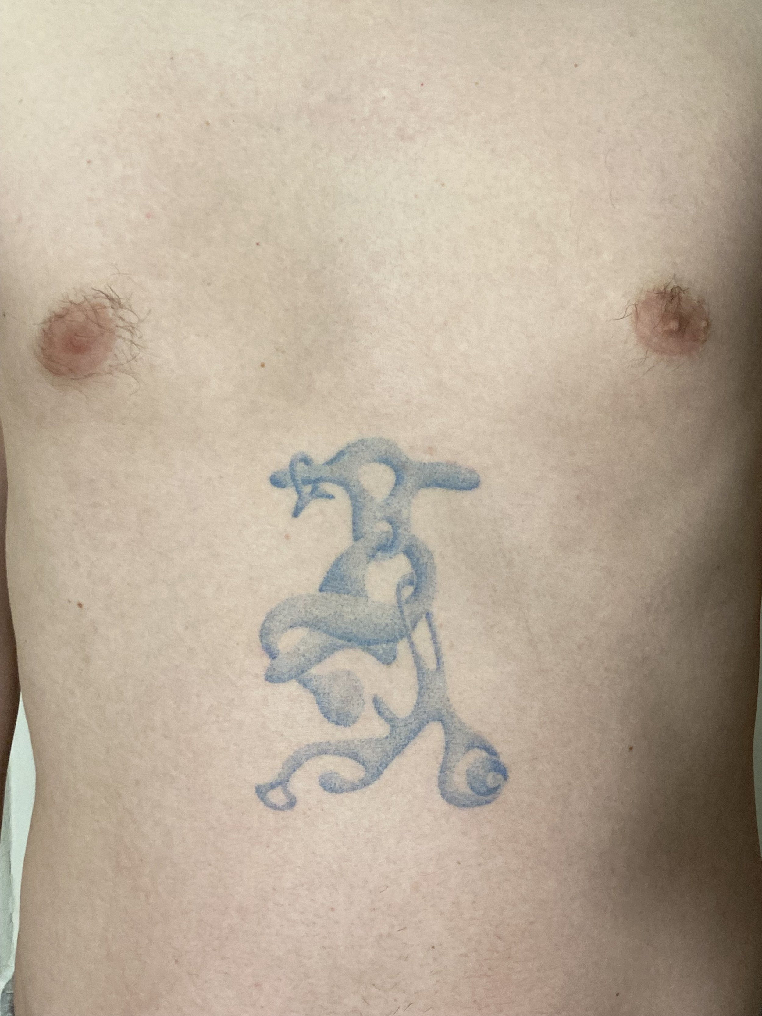 Filip polar tattoo on chest.jpeg
