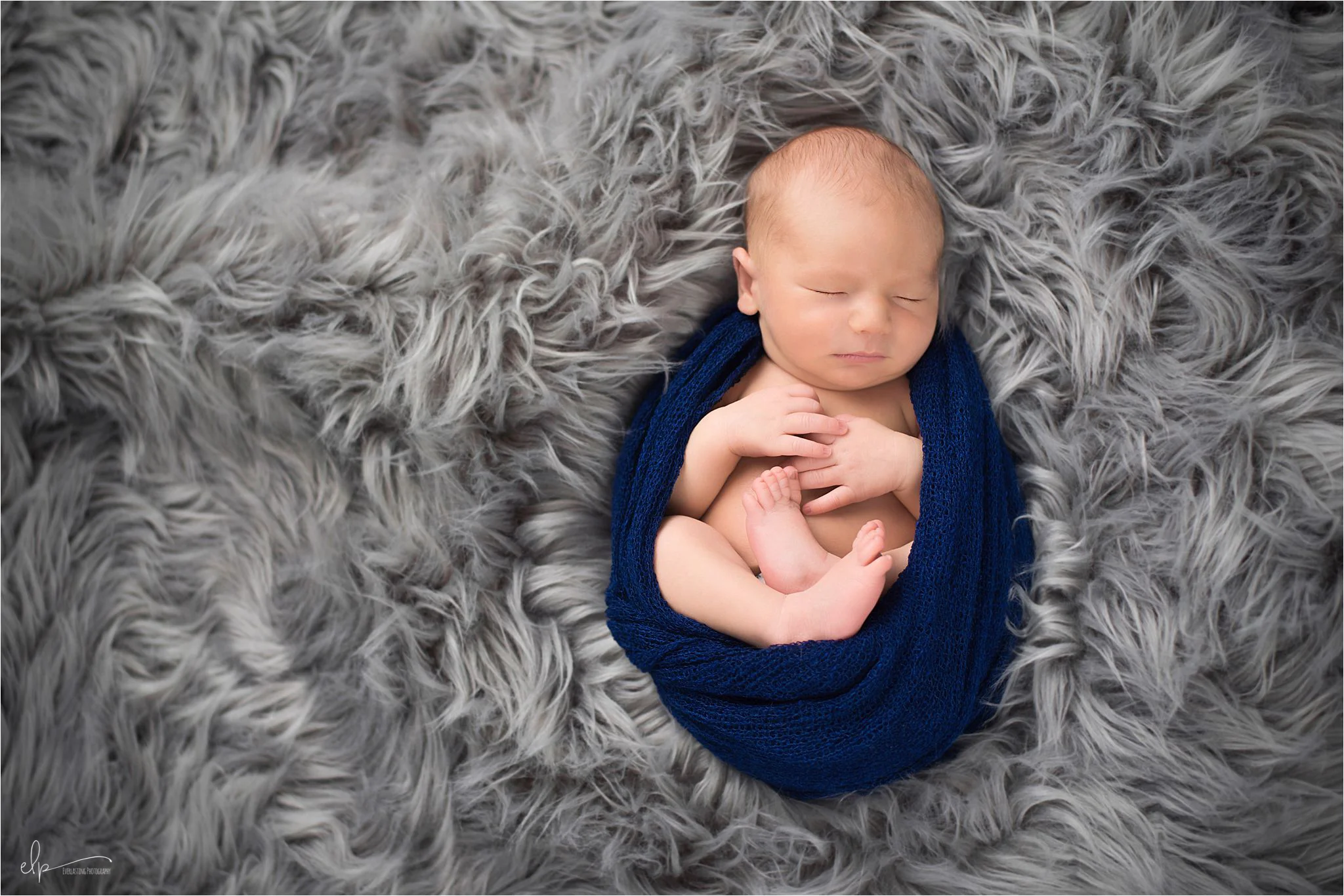 Orlando Newborn Photographer-0002.jpg