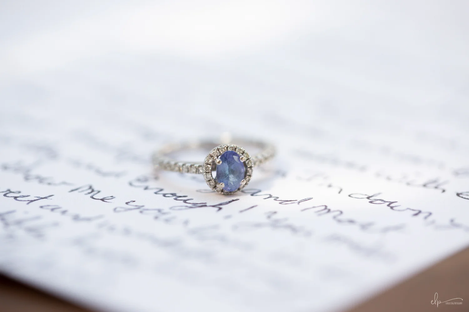 Orlando wedding photographs