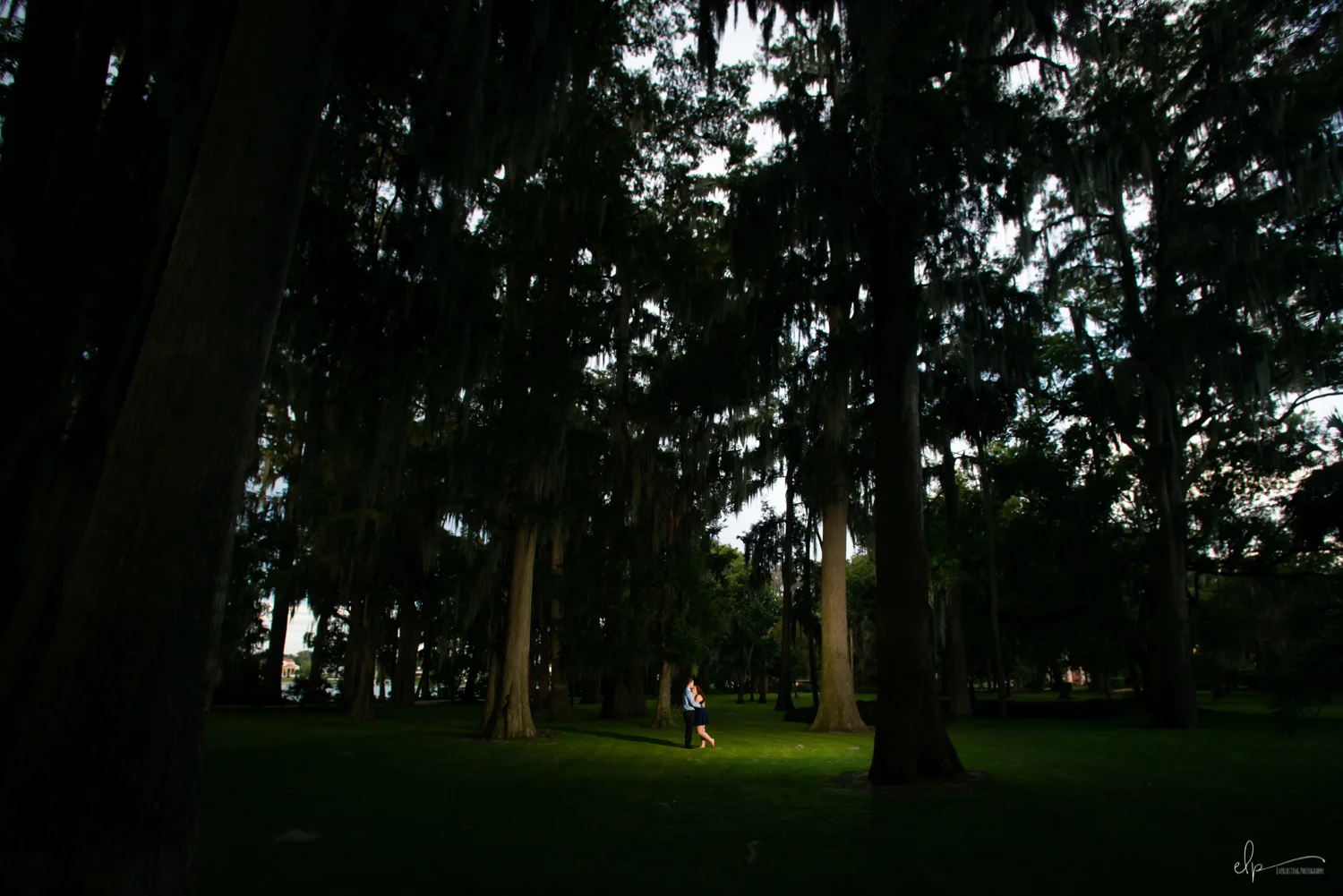 Engagement photography in kraft azalea gardens