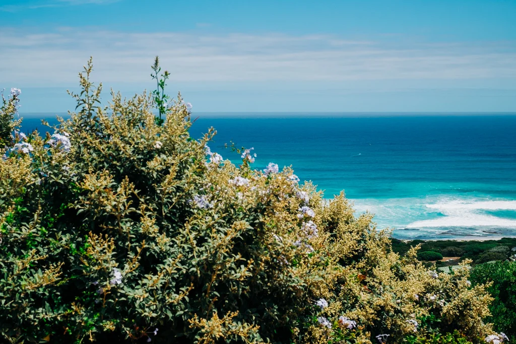 LOOK2ocean_Katrin_Groeper_1625.jpg