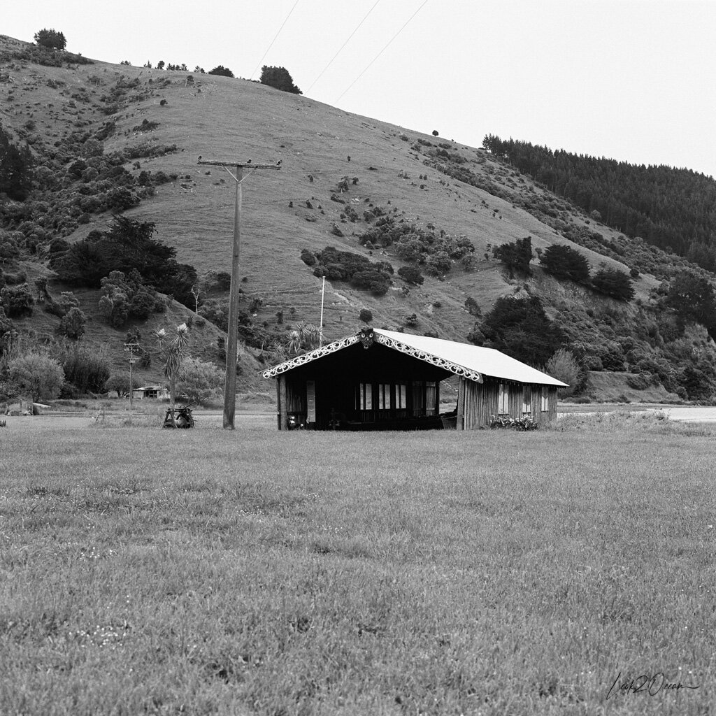 Travel Diary Of Our Road Trip On New Zealand's South Island