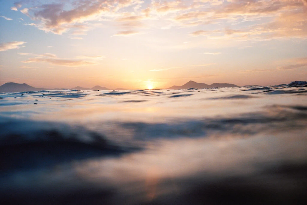 A Little Reminder From The Ocean