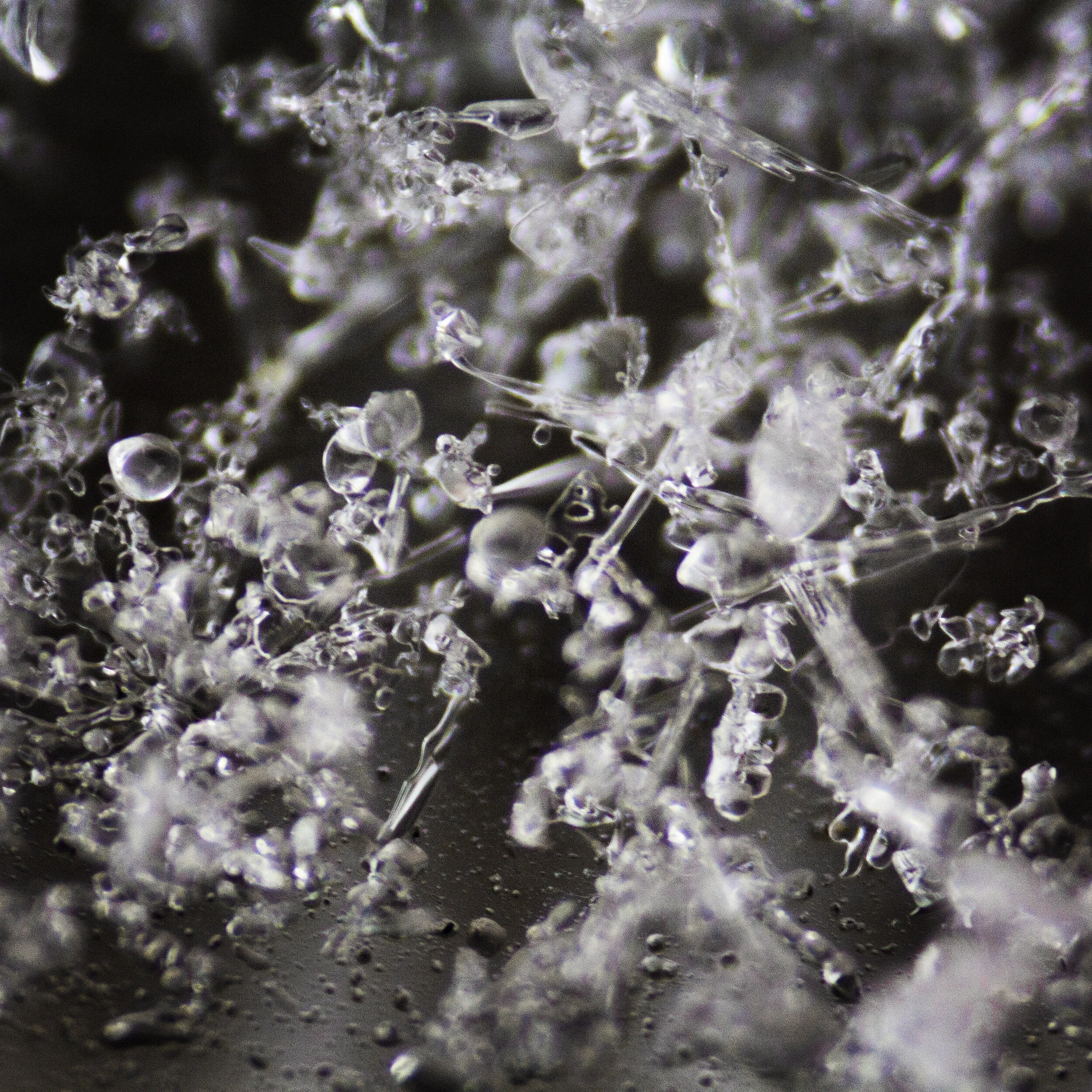 A Very Frozen February