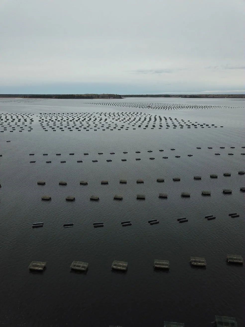 P2P Grand Isle Sea Farms-07.jpg