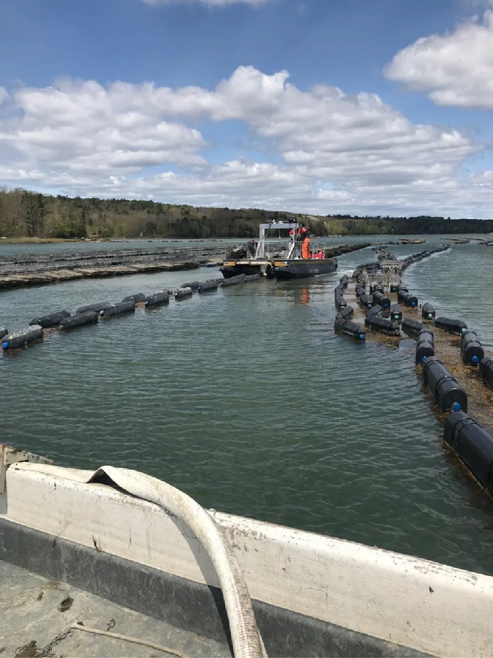 P2P Grand Isle Sea Farms-08.jpg