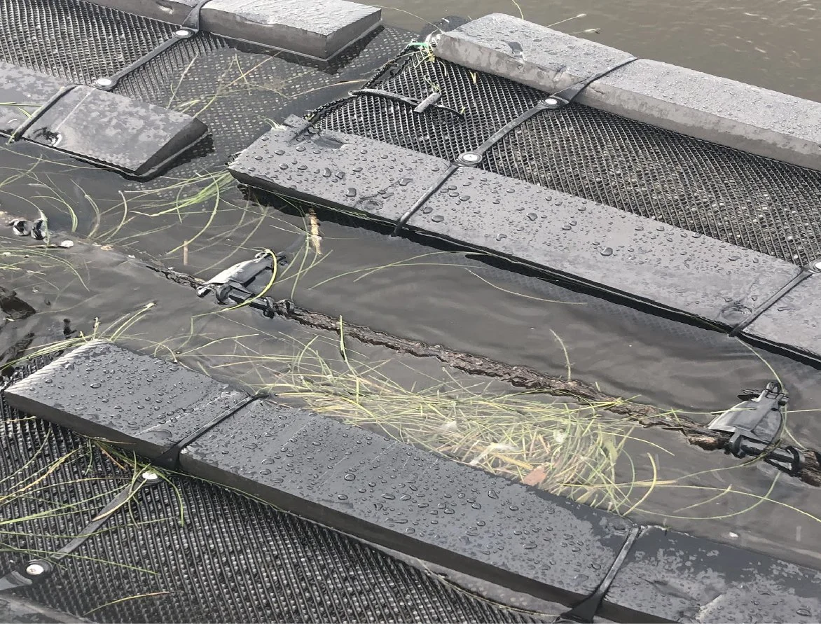 P2P LostCoast-04.jpg