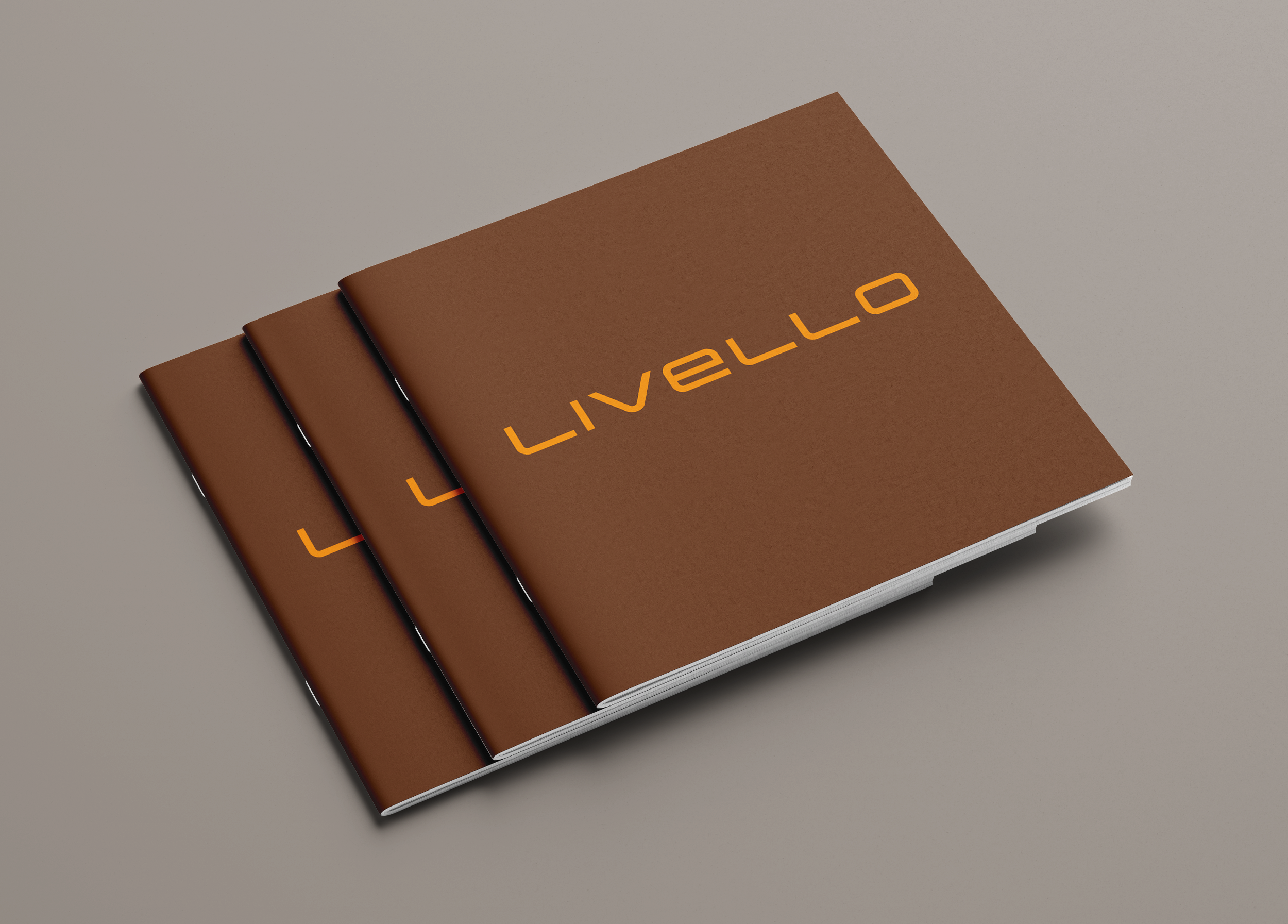 Livello_brochure cover.png