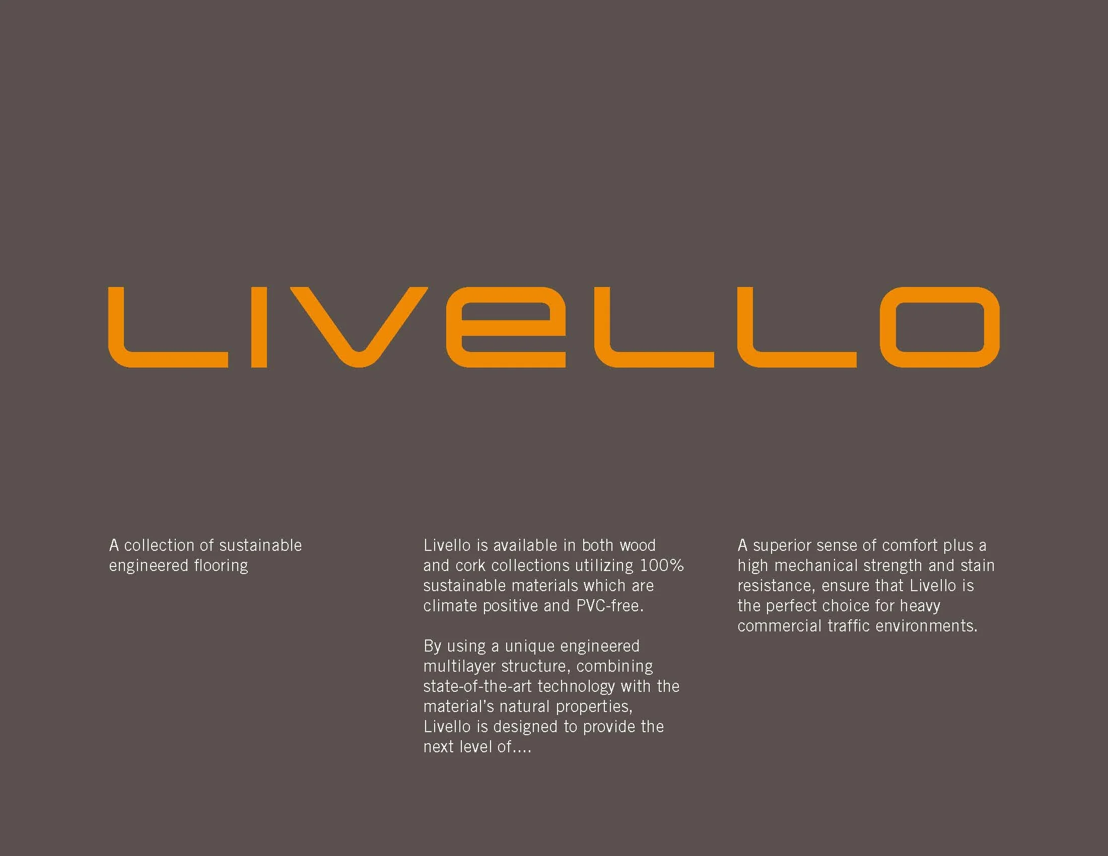 Livello_identity_Page_2.jpg
