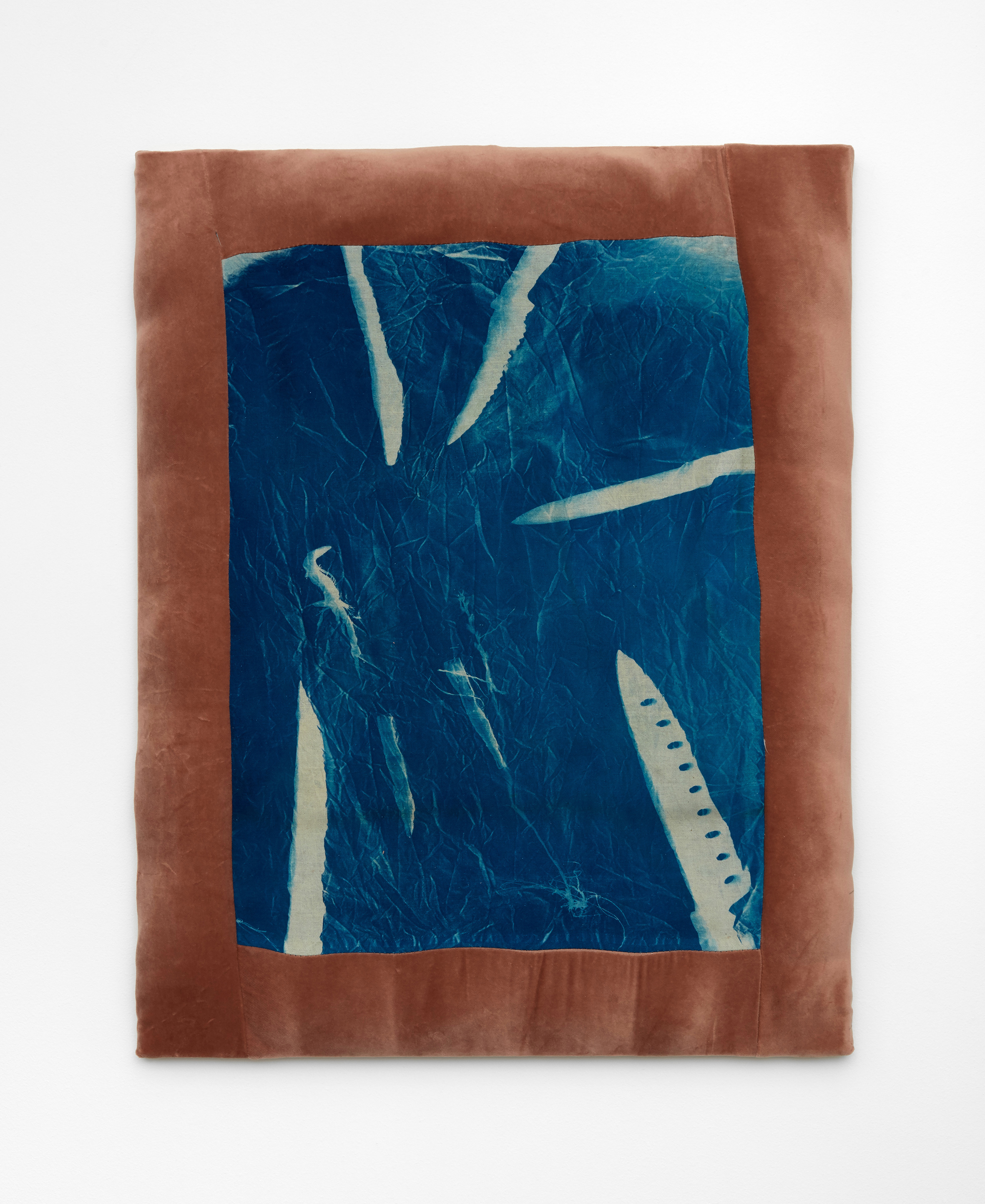  Aimée Parrott  Birds eye, 2017  Cyanotype, velvet, thread, 70 x 50 cm 