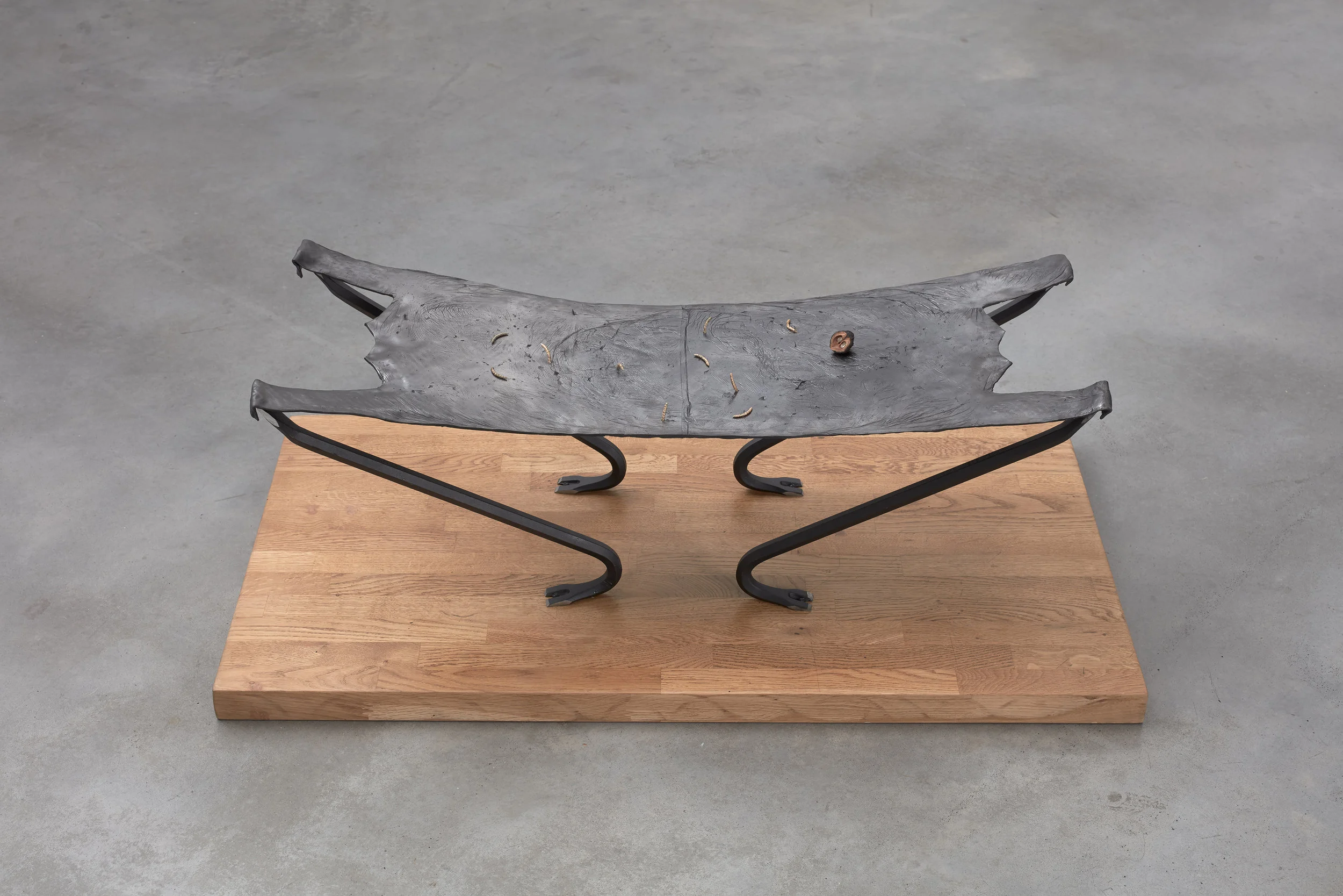 Crow tools and the worms turn Graphite, epoxy modelling compound, oak, steel crowbars, cast bronze meal worms. 2018
