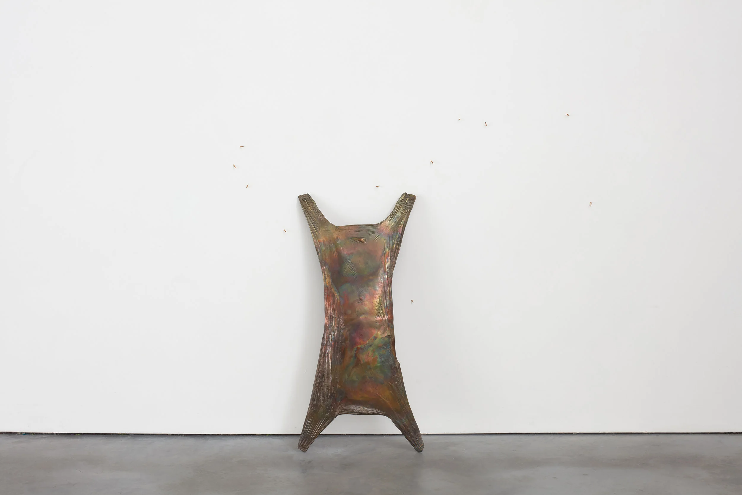 Hot hand hide Heat treated bronze, dried meal worms. 2018