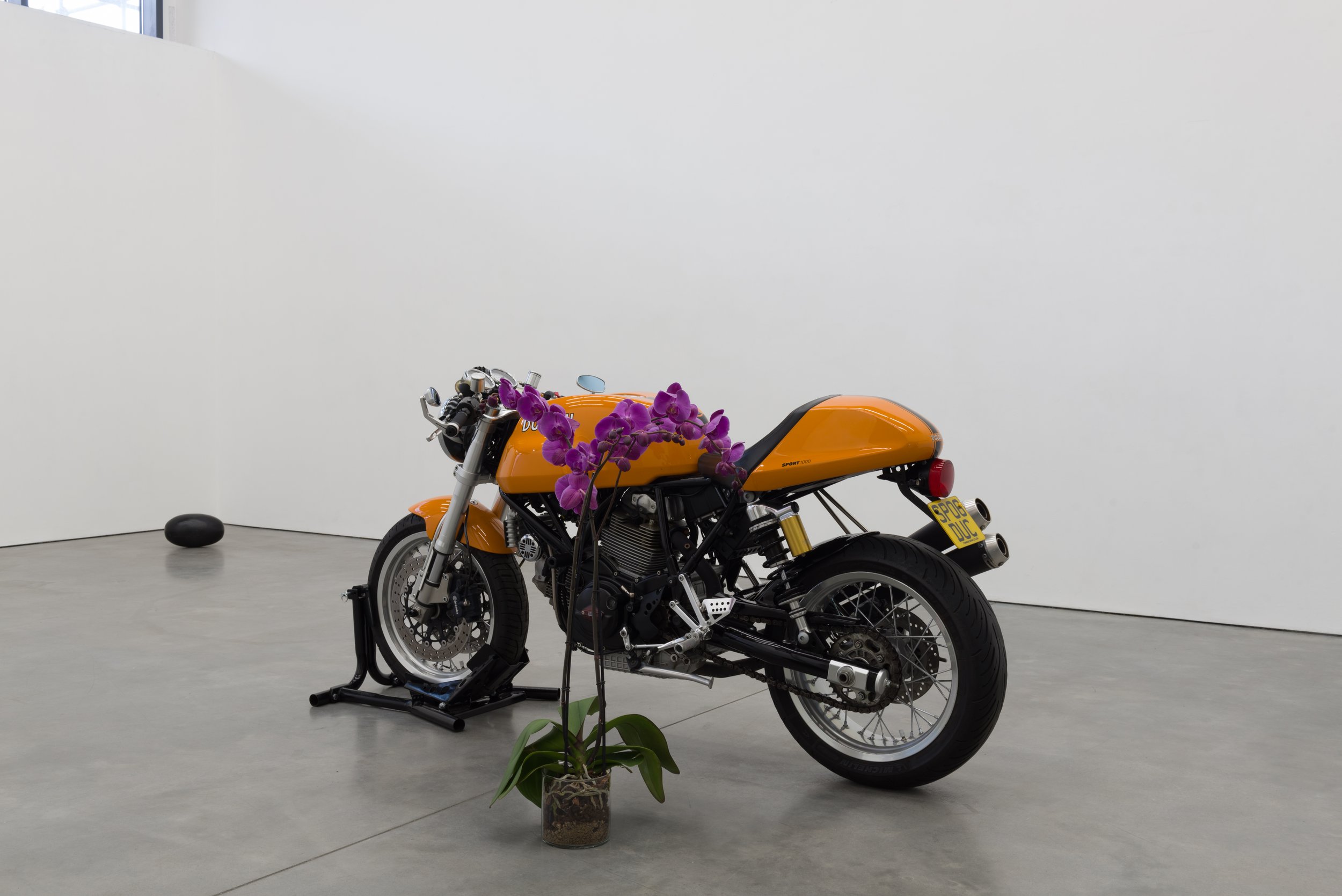  blistering dawn, a reddish young orange speed, above the metal (after Fabio Taglioni)  Ducati Sport I 1000 Momposto motorbike (2006), purple, Phalaenopsis orchid, glass vase, variable dimensions, 2020 