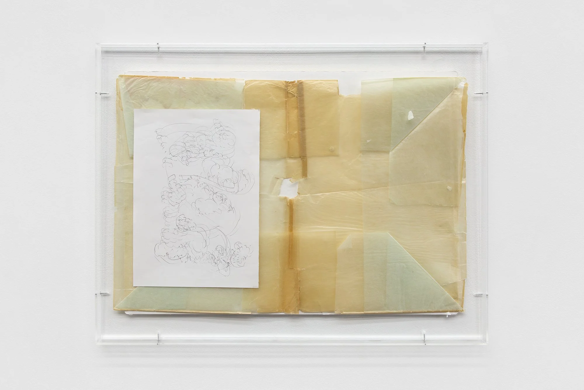   Untitled (Day Anatomy)&nbsp;   pencil, paper, glassine, found mountboard, acrylic frame, screws,&nbsp; 50 x 65cm (framed) 