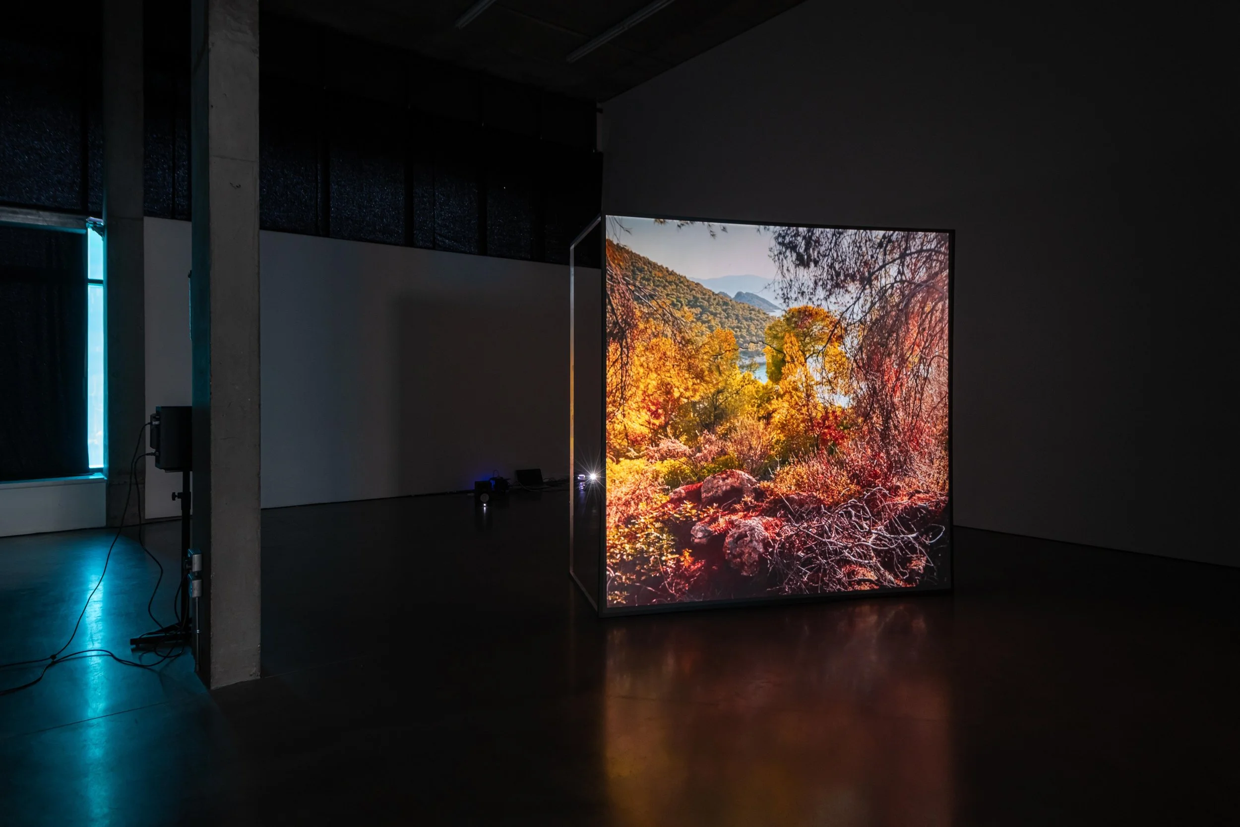   Owls (into the night)   Mackintosh Lane Edition  6h 15’  4k video with sound  Back projection 230x230cm 2 ch sound, 4 speaker array. 