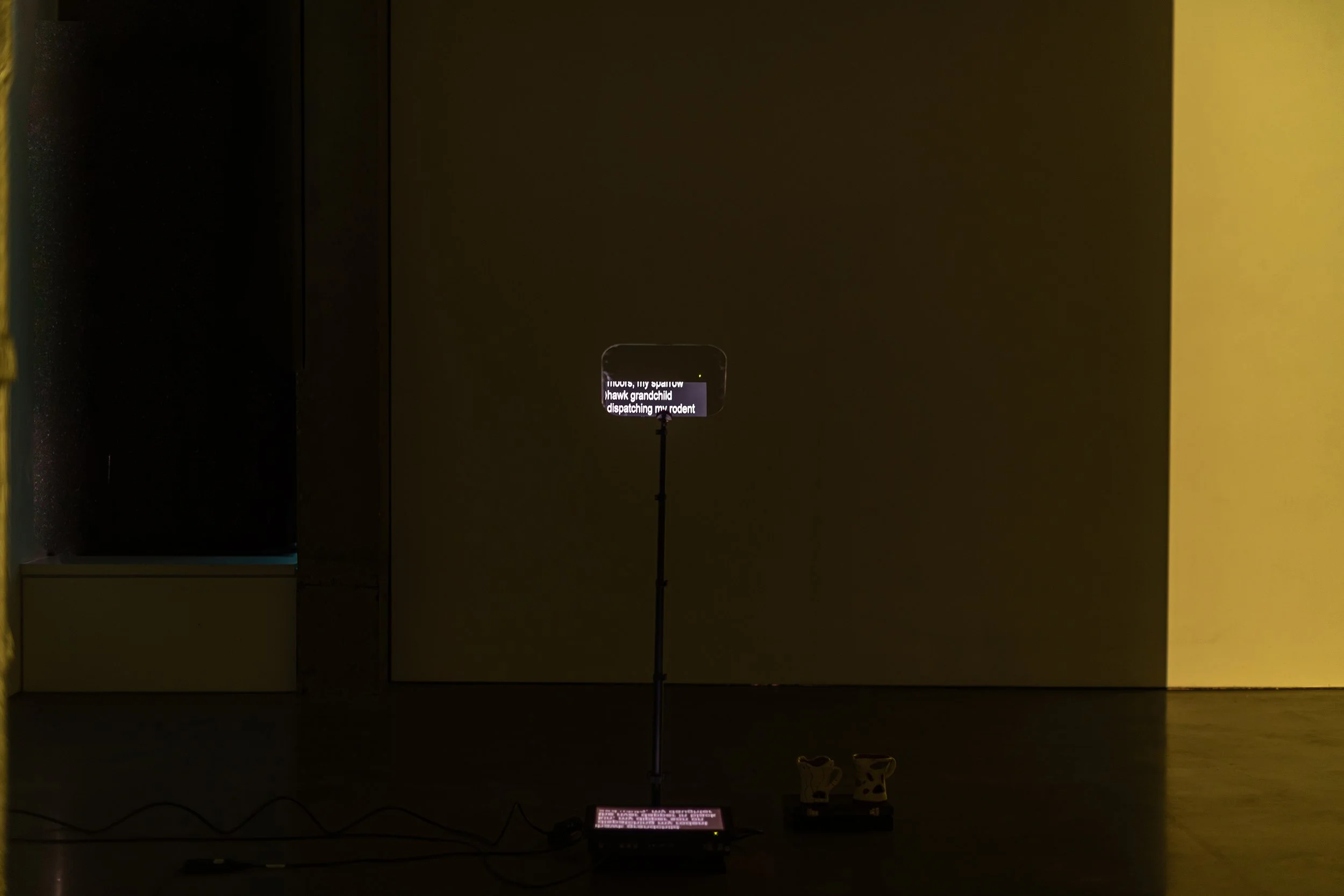   Family Matters    7’ looping, HD video with sound, autocue text by Meri Andrea  2026   