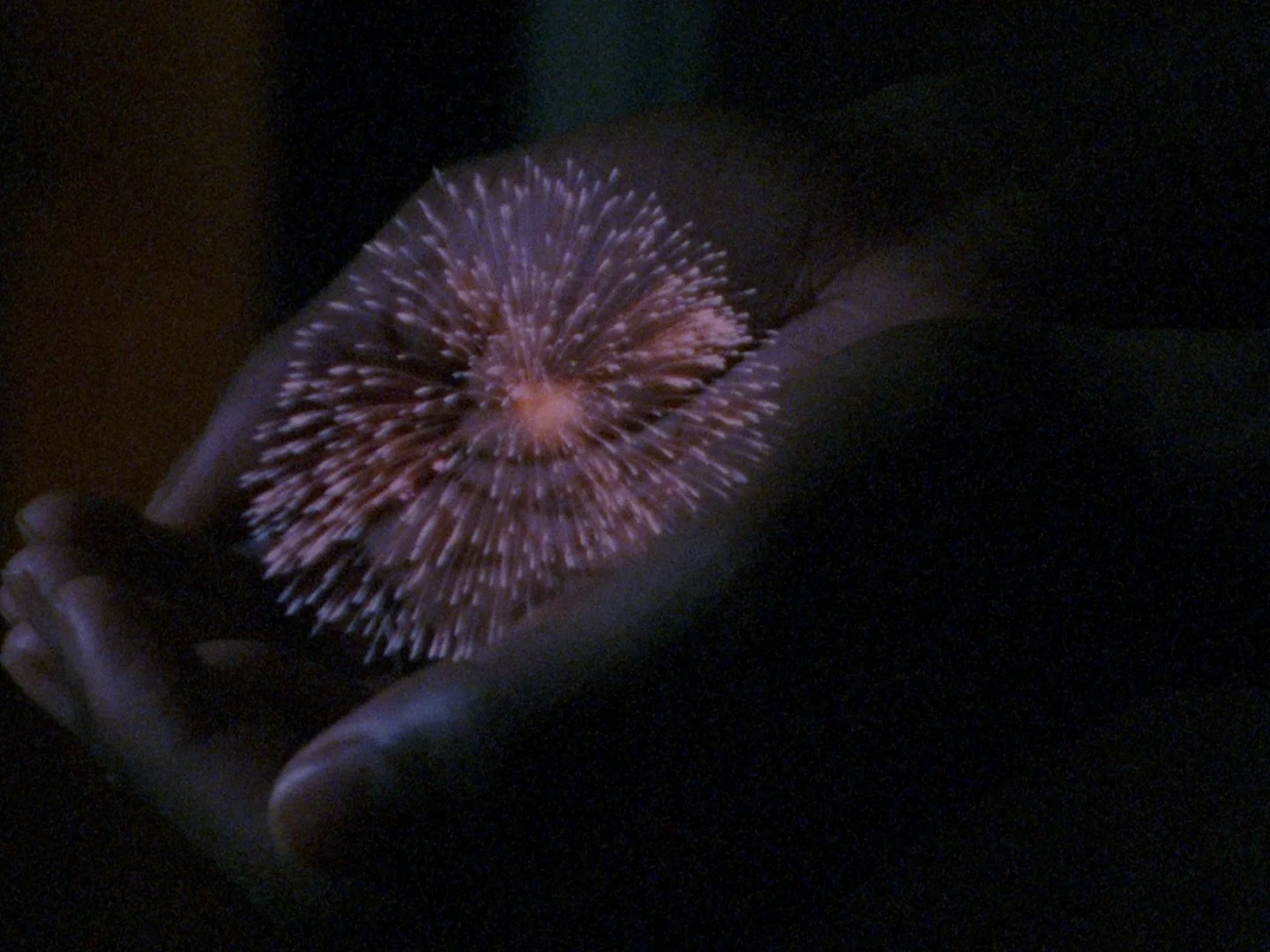  Nina Porter /  Minor Matter , 3:41 min, 16mm shown as video, colour, sound, 4:3, 2023 